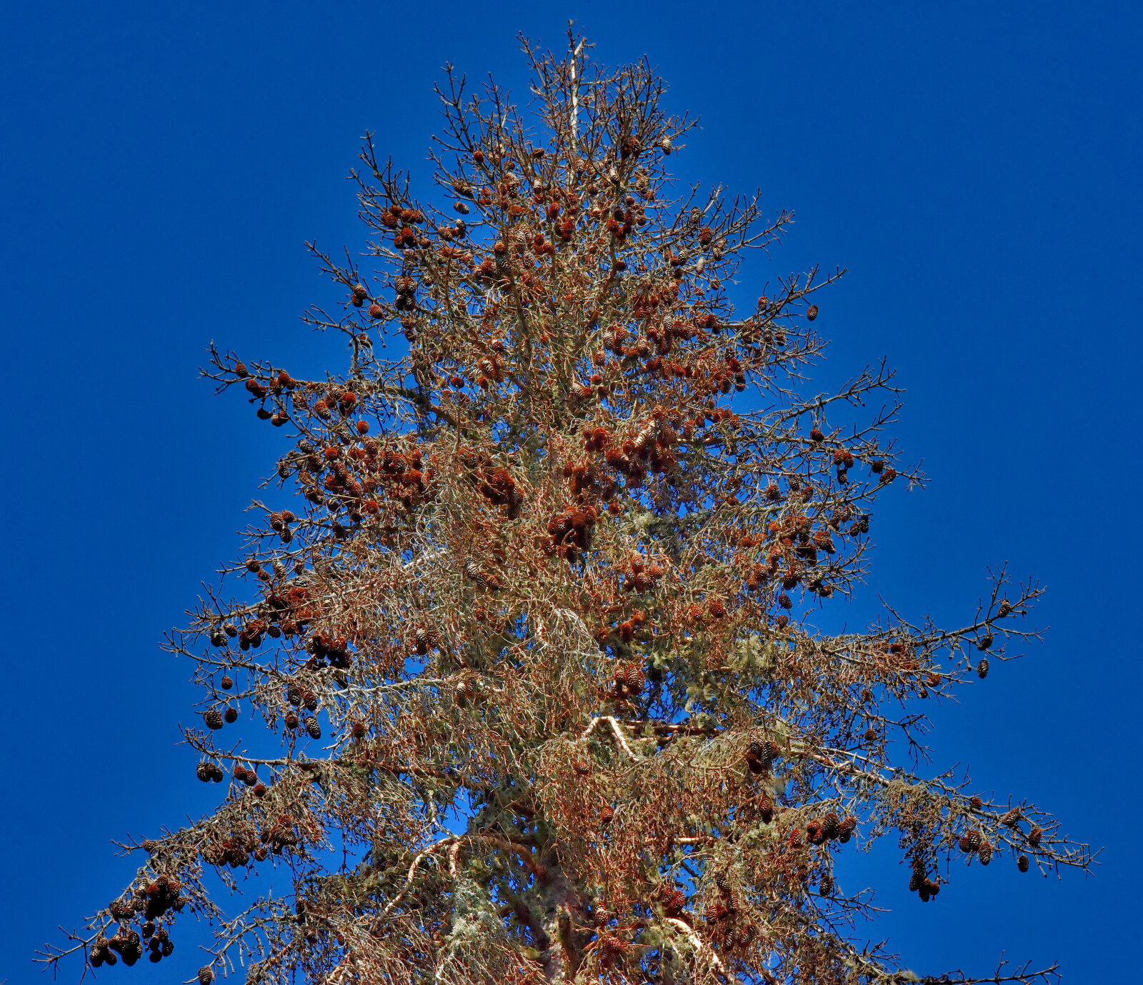 Valokuvaaja: Reijo Juurinen