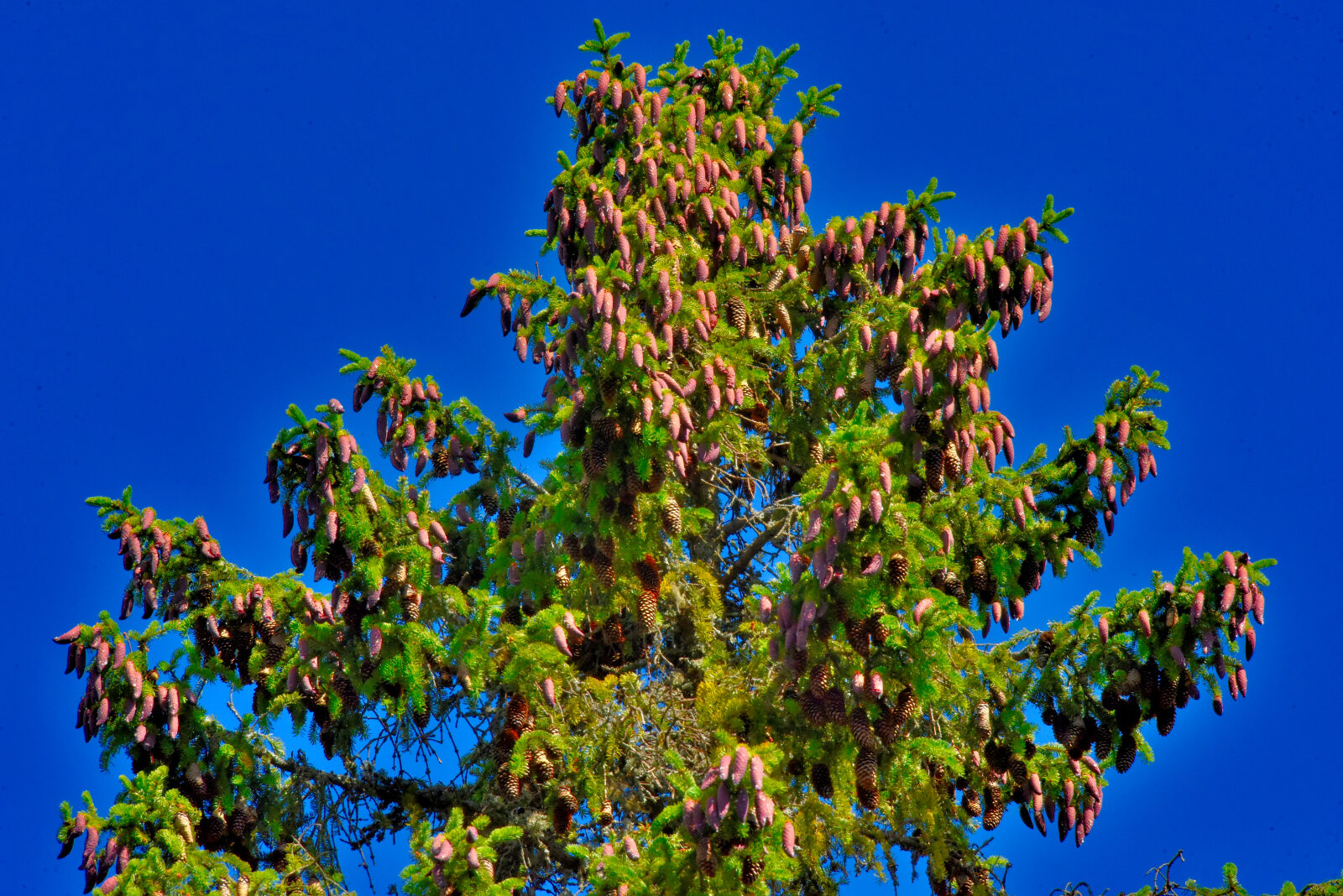 Valokuvaaja: Reijo Juurinen