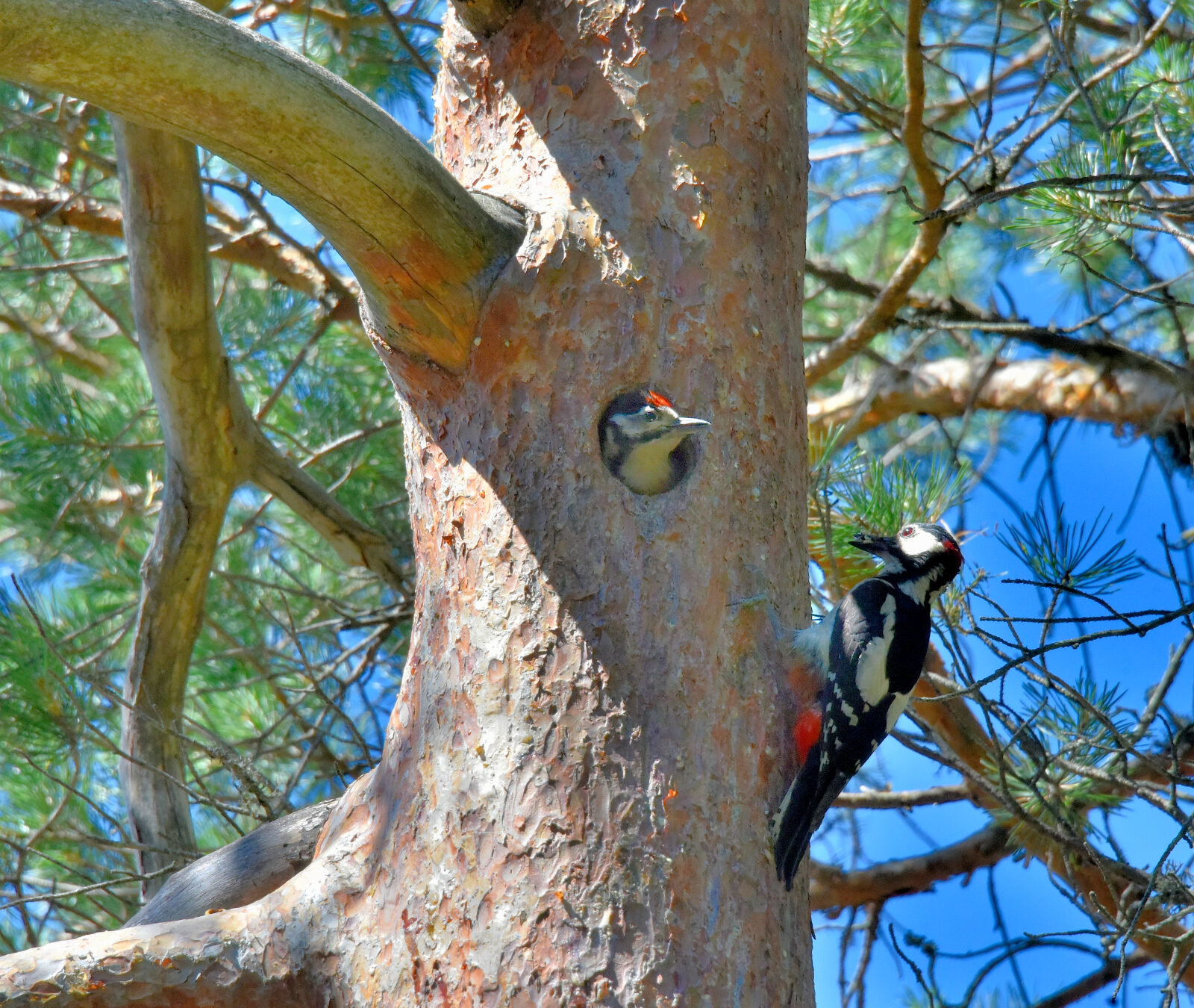 Valokuvaaja: Reijo Juurinen