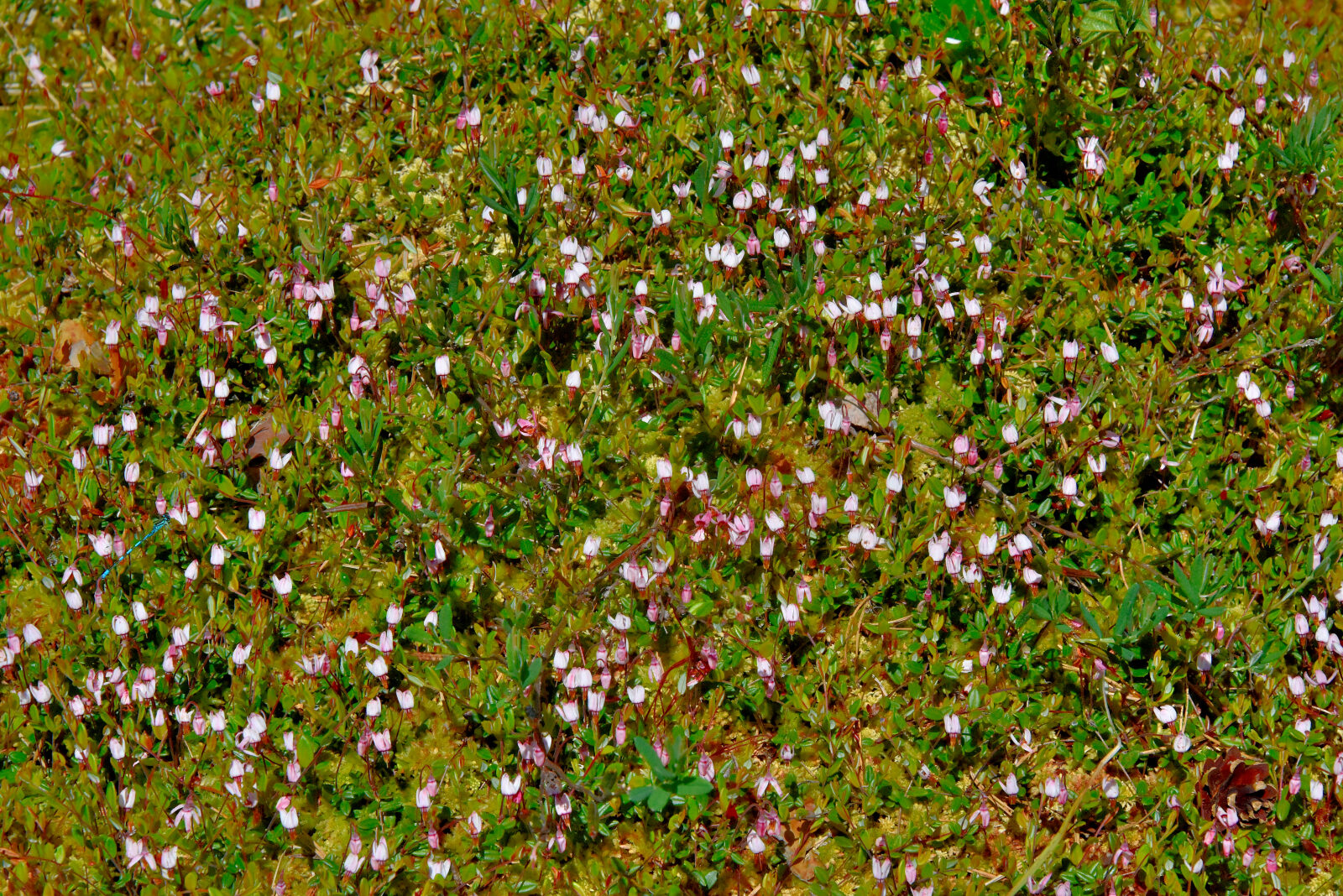 Valokuvaaja: Reijo Juurinen