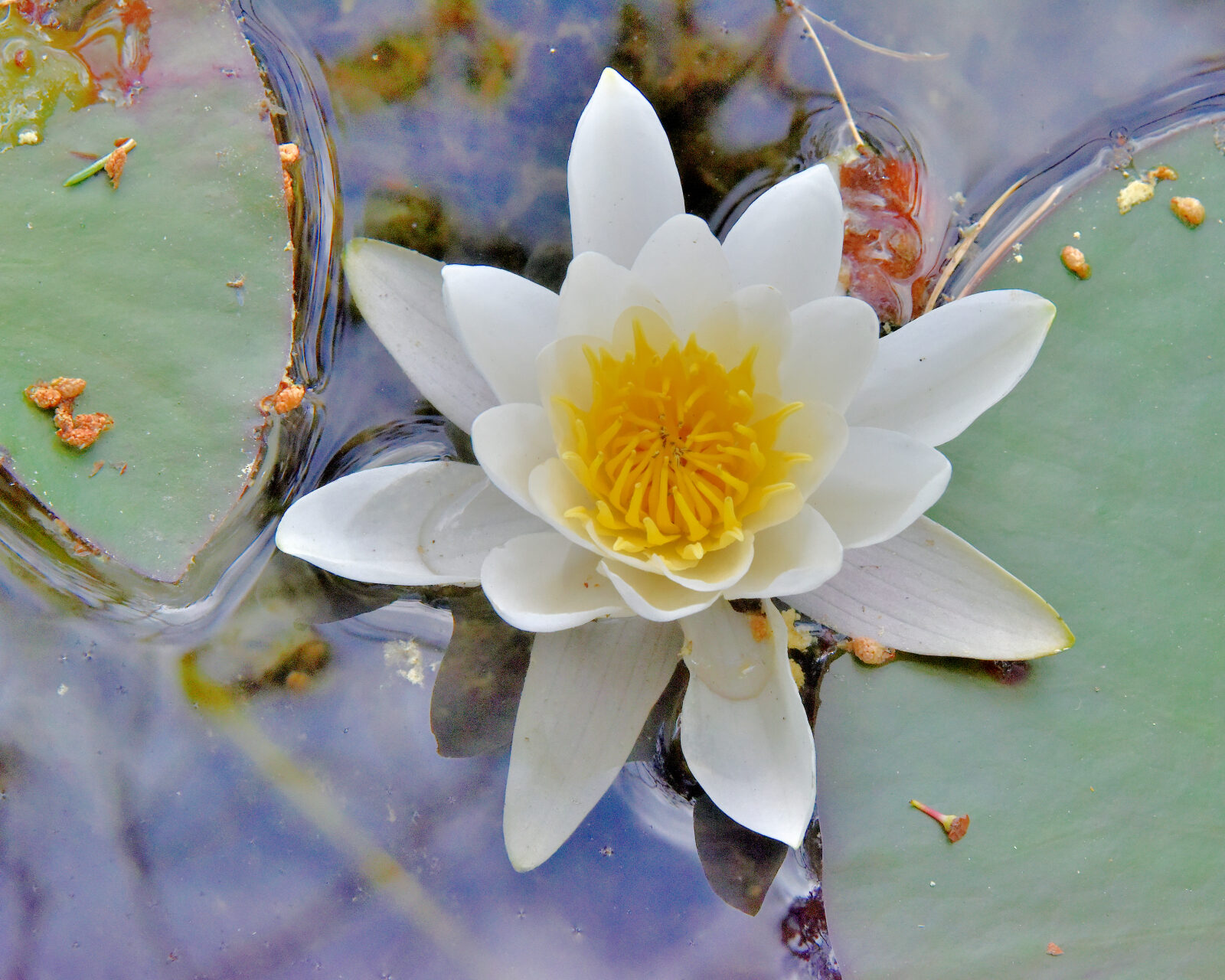 Valokuvaaja: Reijo Juurinen