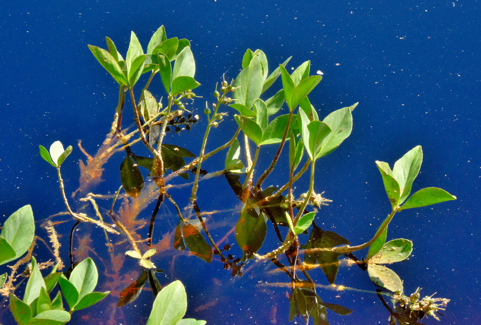 Valokuvaaja: Reijo Juurinen