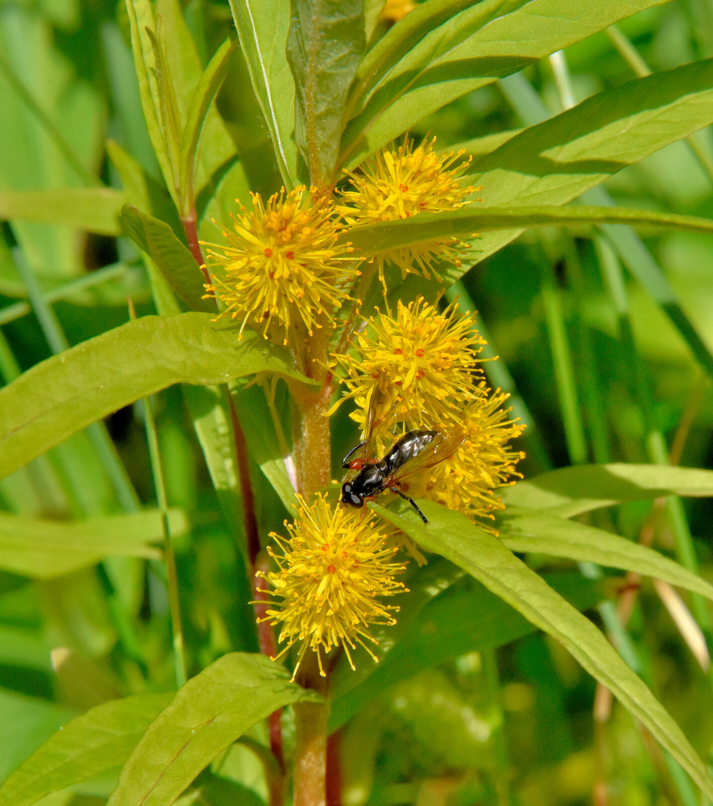 Valokuvaaja: Reijo Juurinen