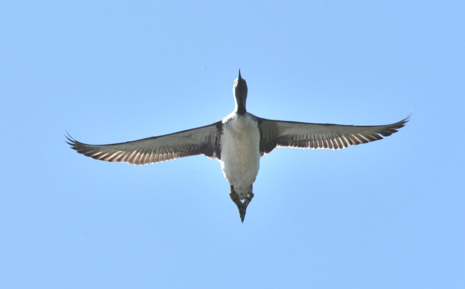 Valokuvaaja: Reijo Juurinen