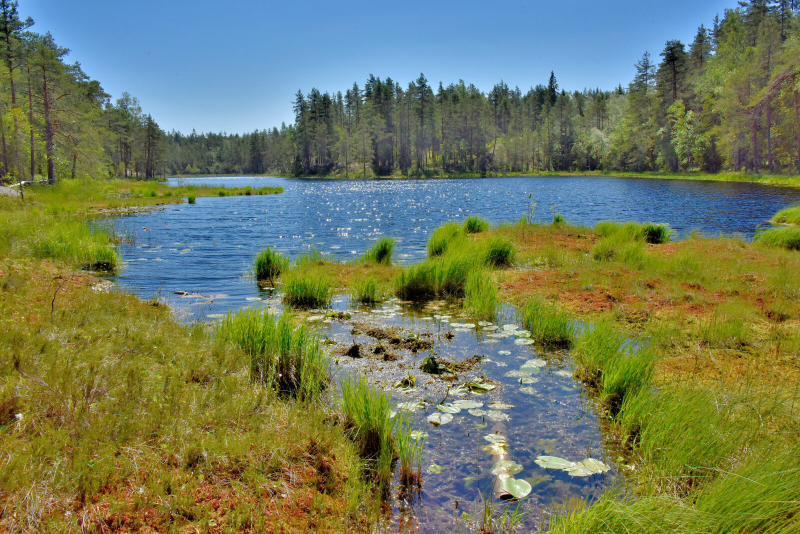 Valokuvaaja: Reijo Juurinen