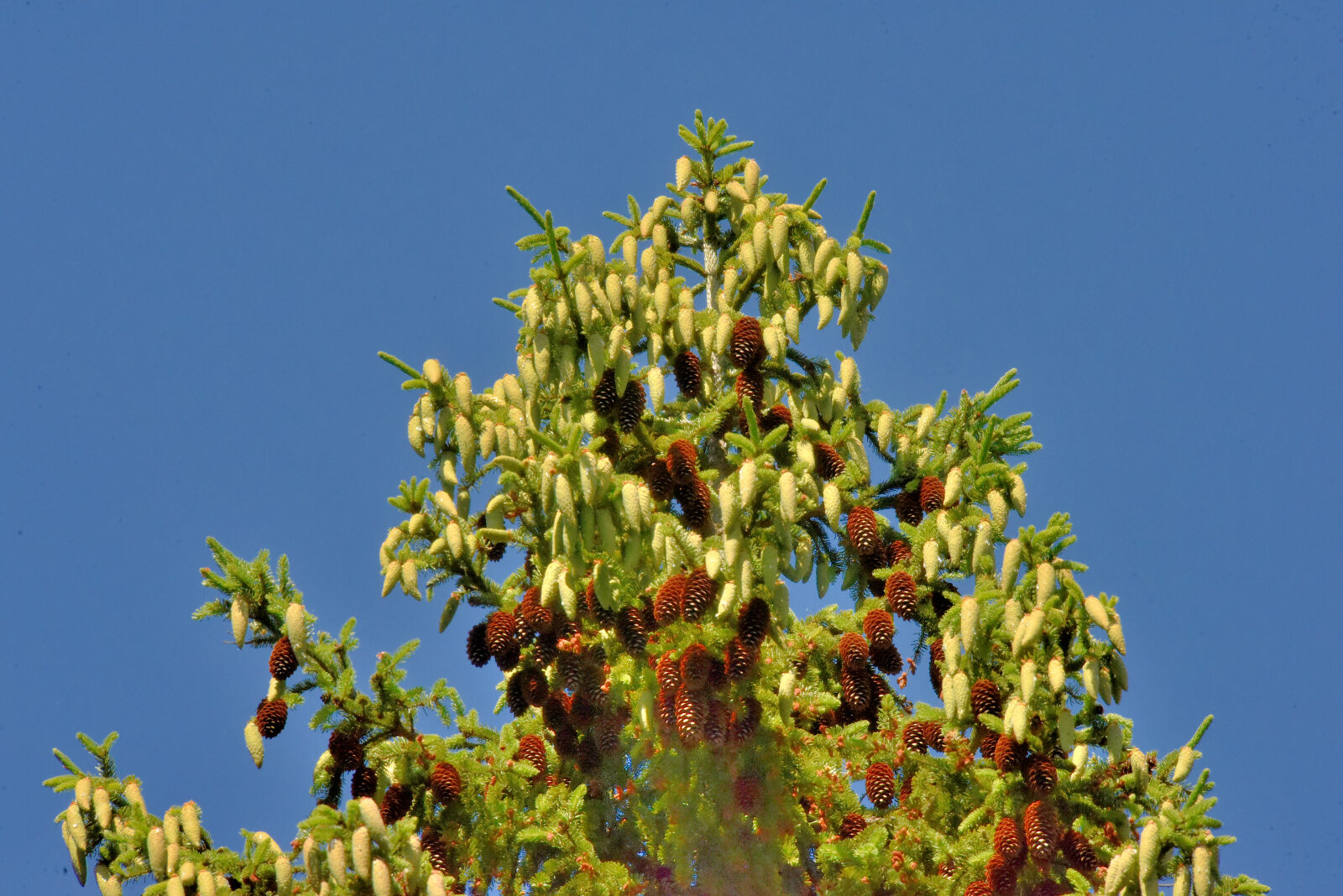 Valokuvaaja: Reijo Juurinen