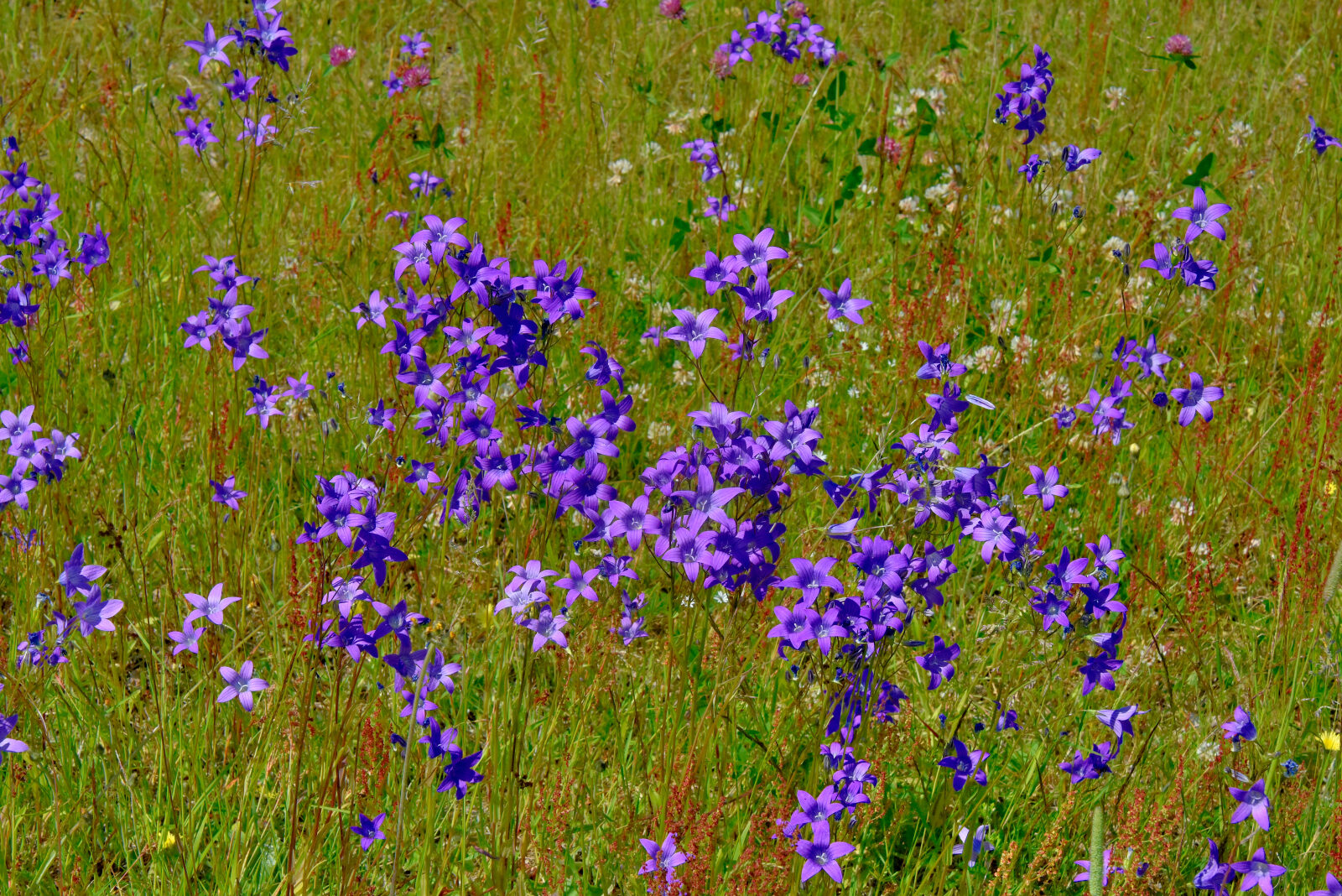 Valokuvaaja: Reijo Juurinen