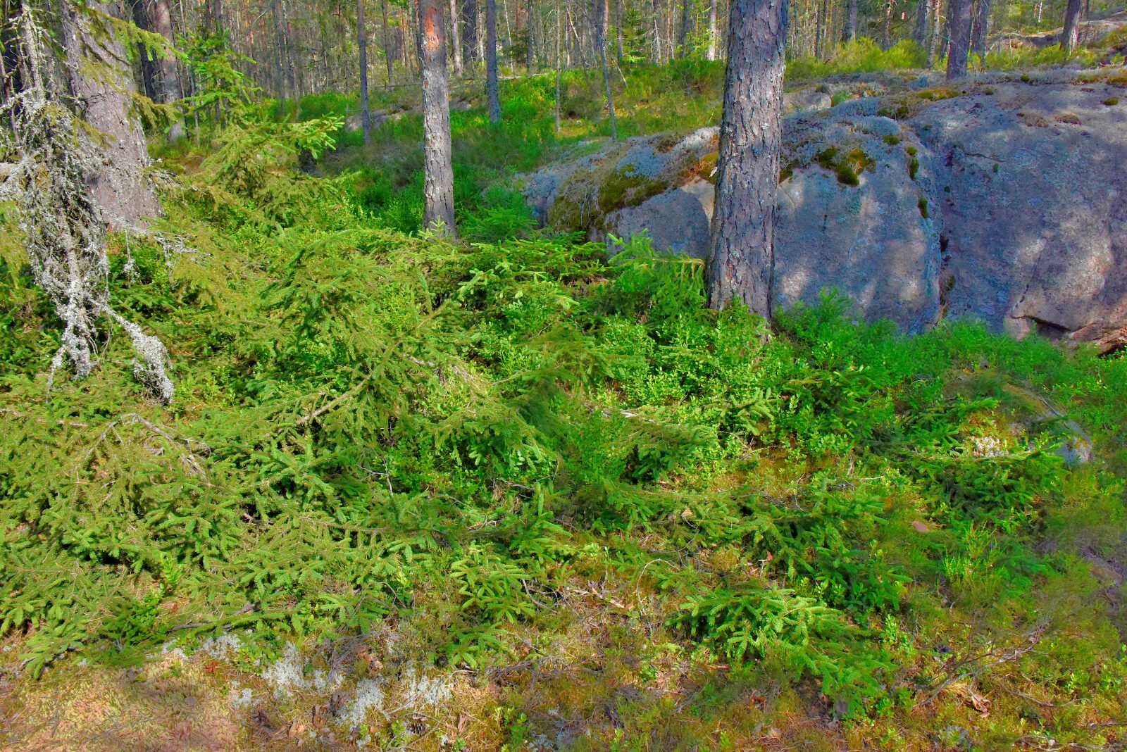 Valokuvaaja: Reijo Juurinen