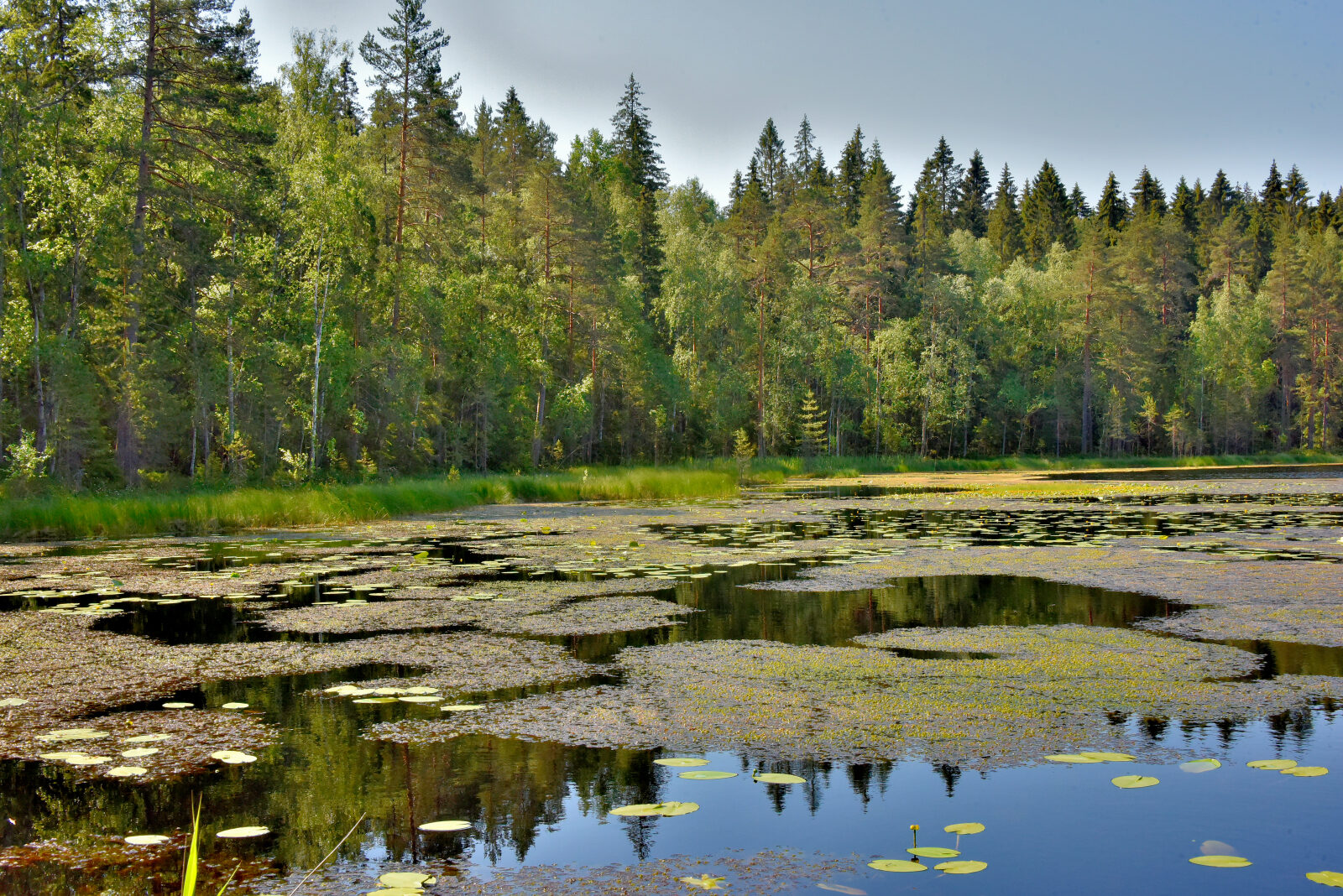 Valokuvaaja: Reijo Juurinen Valokuvaaja: Reijo Juurinen
