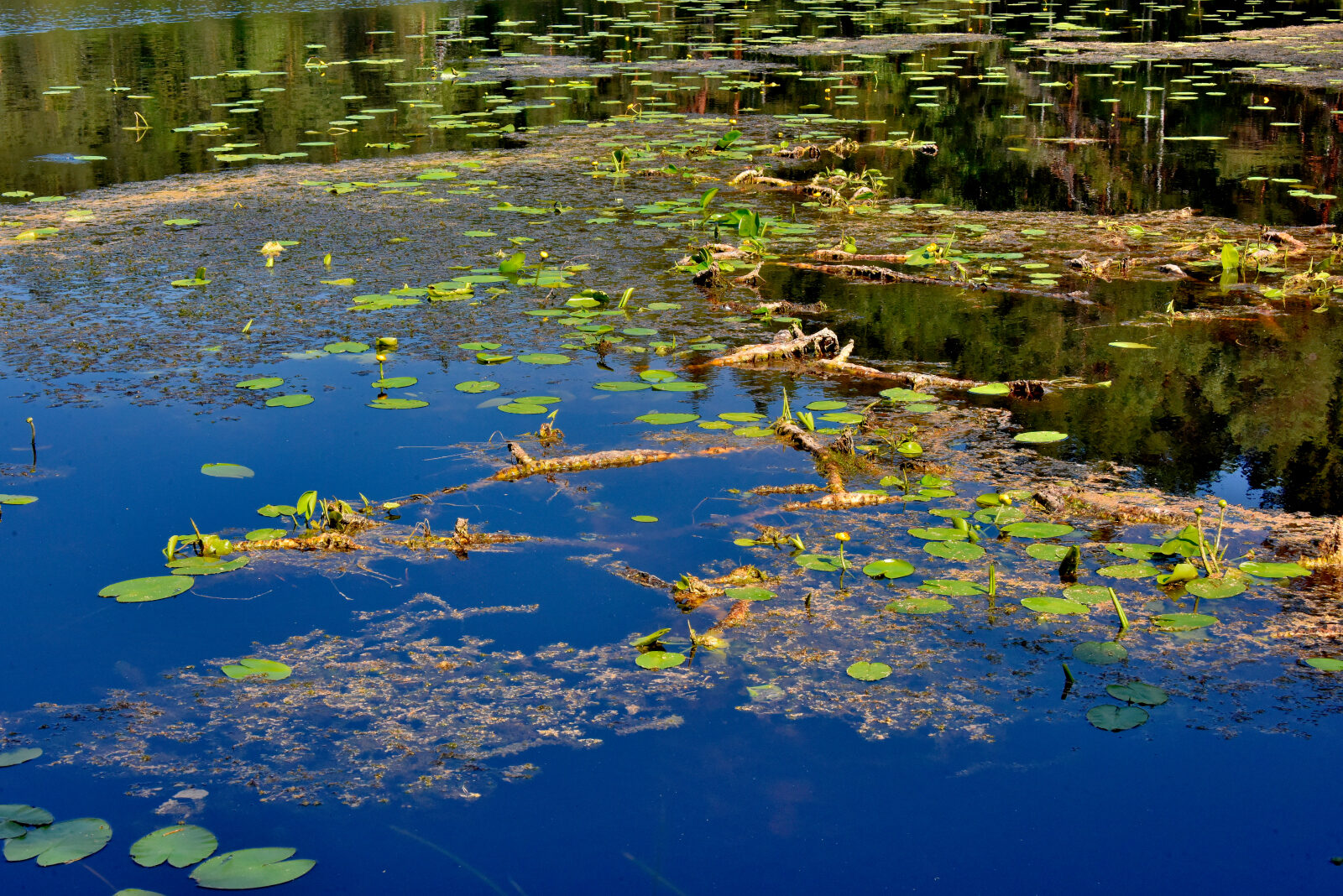Valokuvaaja: Reijo Juurinen Valokuvaaja: Reijo Juurinen