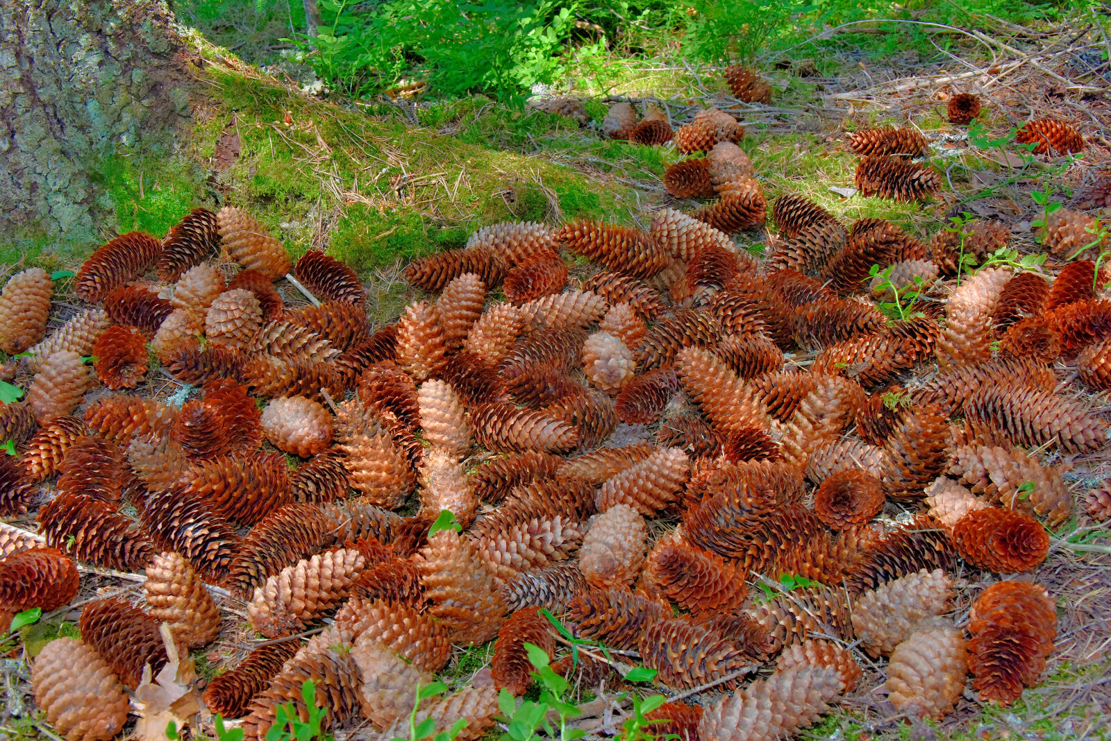 Valokuvaaja: Reijo Juurinen