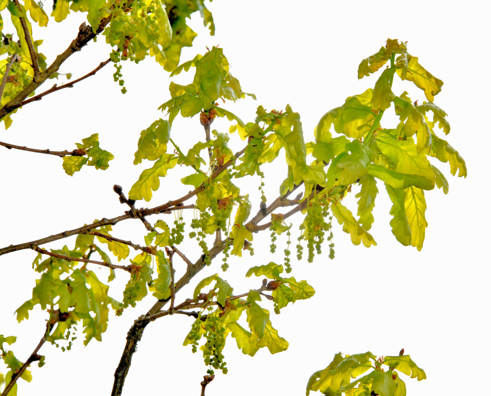 Valokuvaaja: Reijo Juurinen