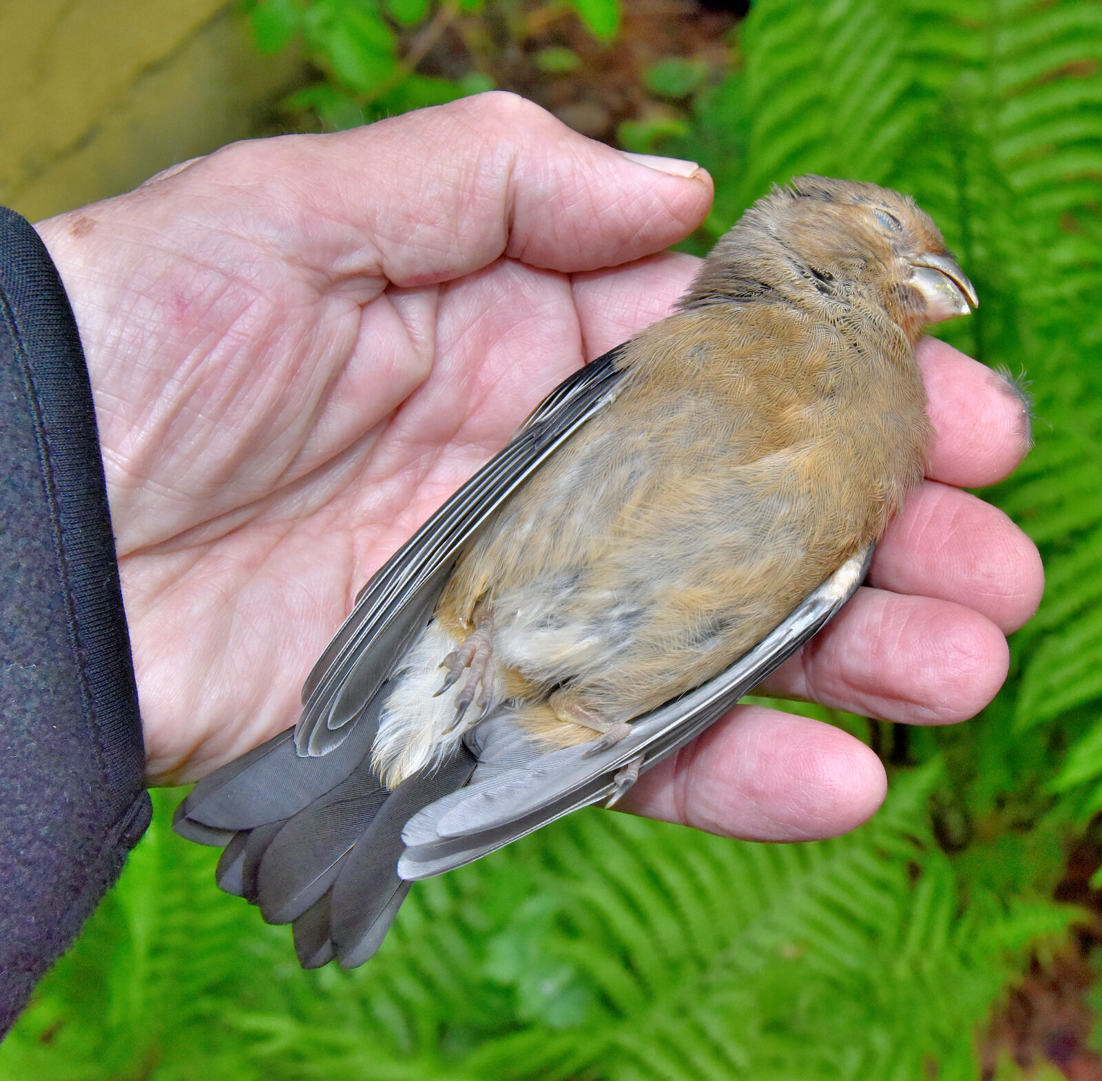 Valokuvaaja: Reijo Juurinen