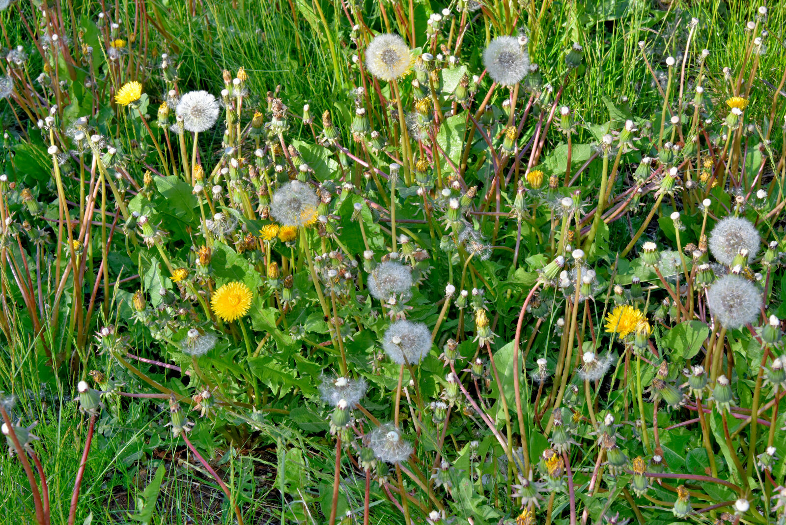 Valokuvaaja: Reijo Juurinen