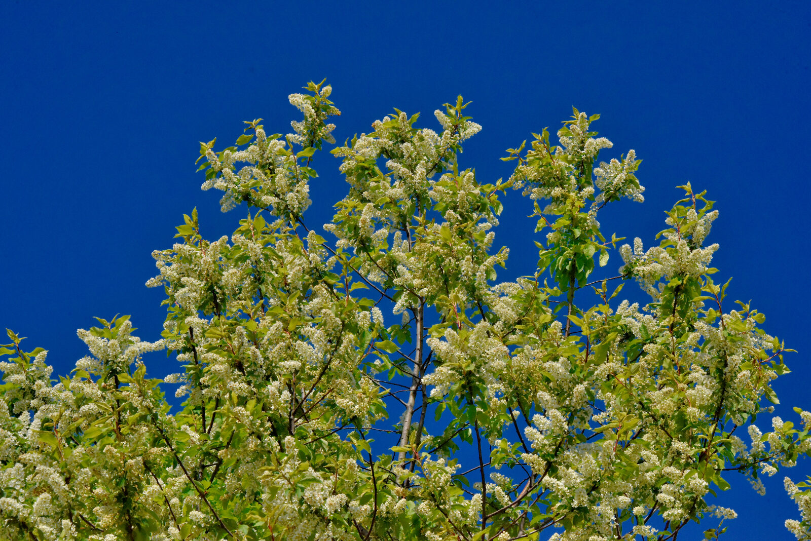 Valokuvaaja: Reijo Juurinen