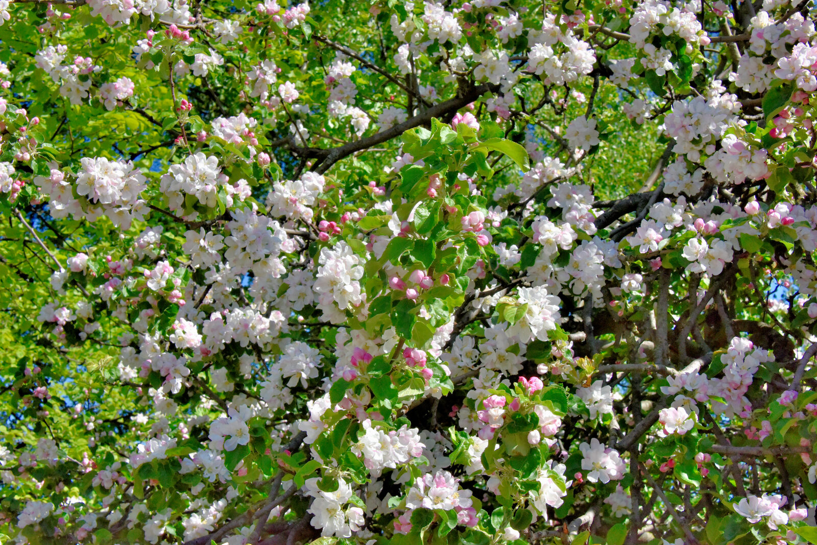 Valokuvaaja: Reijo Juurinen