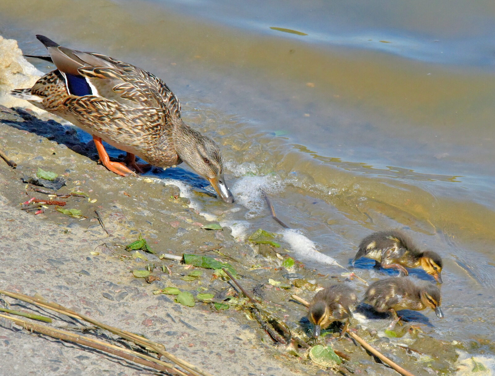 Valokuvaaja: Reijo Juurinen