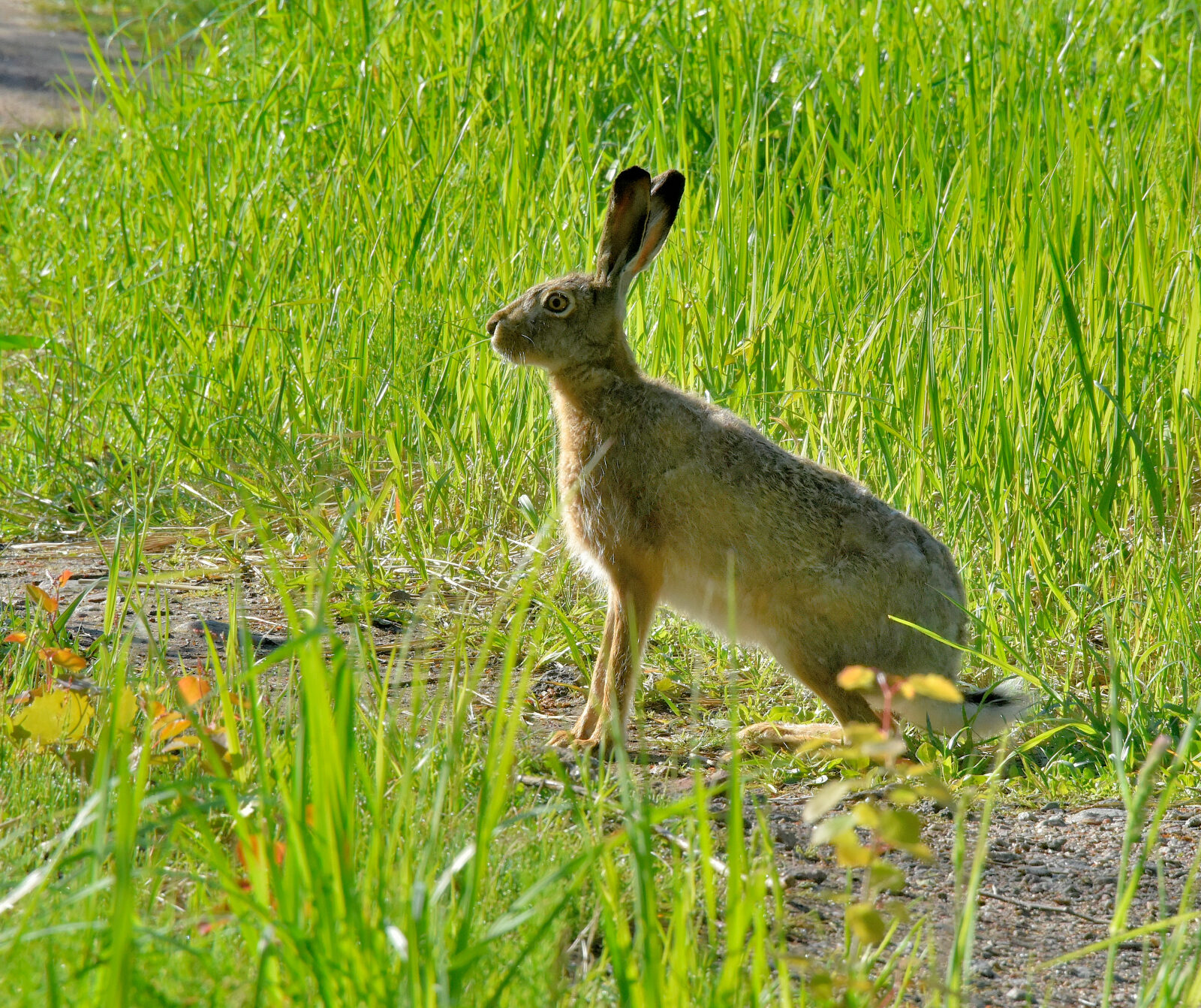 Valokuvaaja: Reijo Juurinen