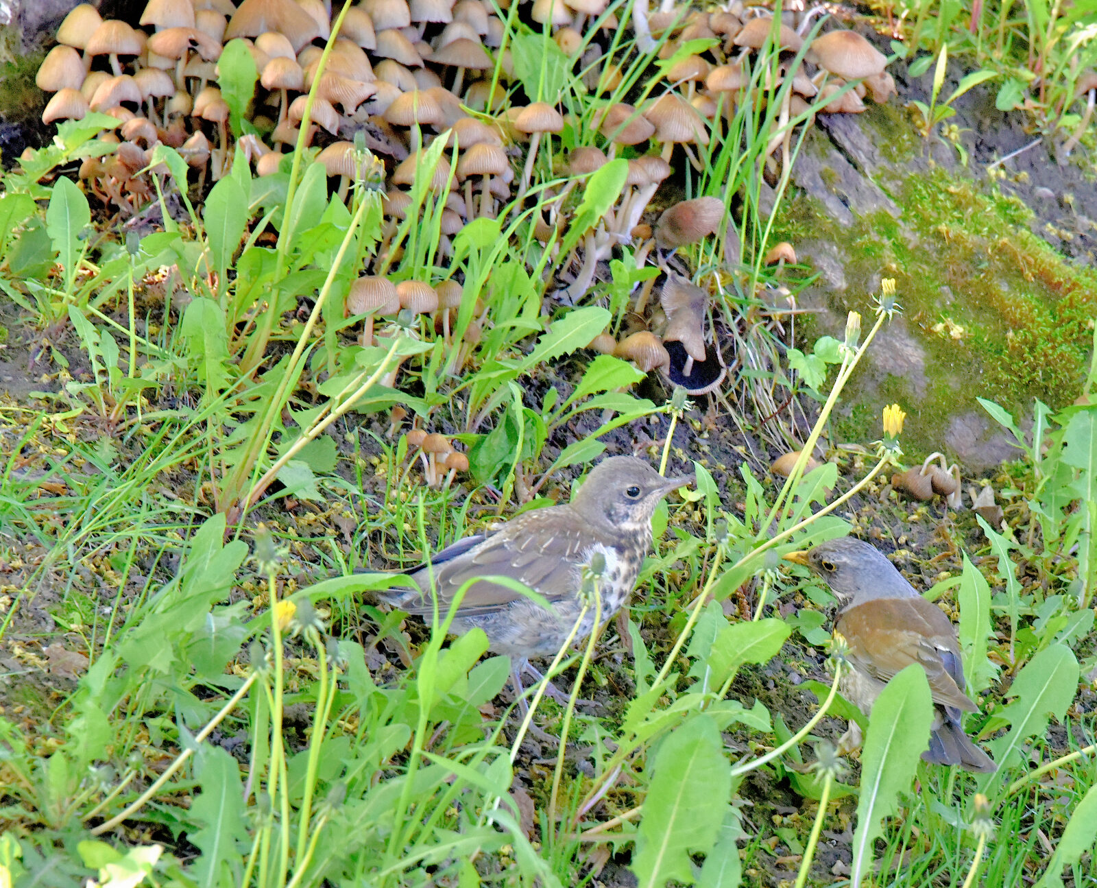 Valokuvaaja: Reijo Juurinen