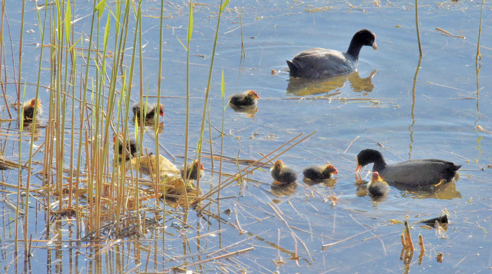 Valokuvaaja: Reijo Juurinen