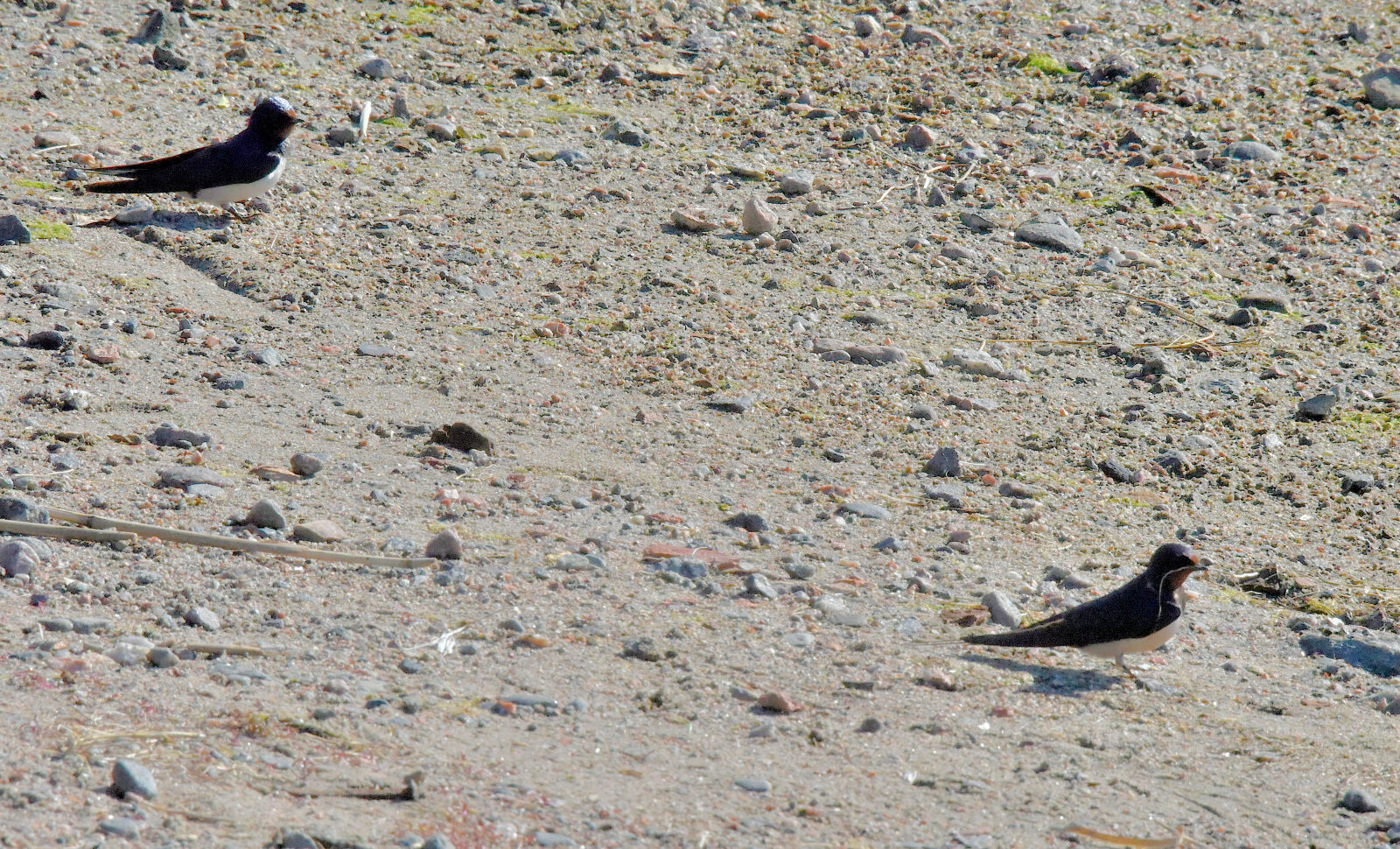 Valokuvaaja: Reijo Juurinen
