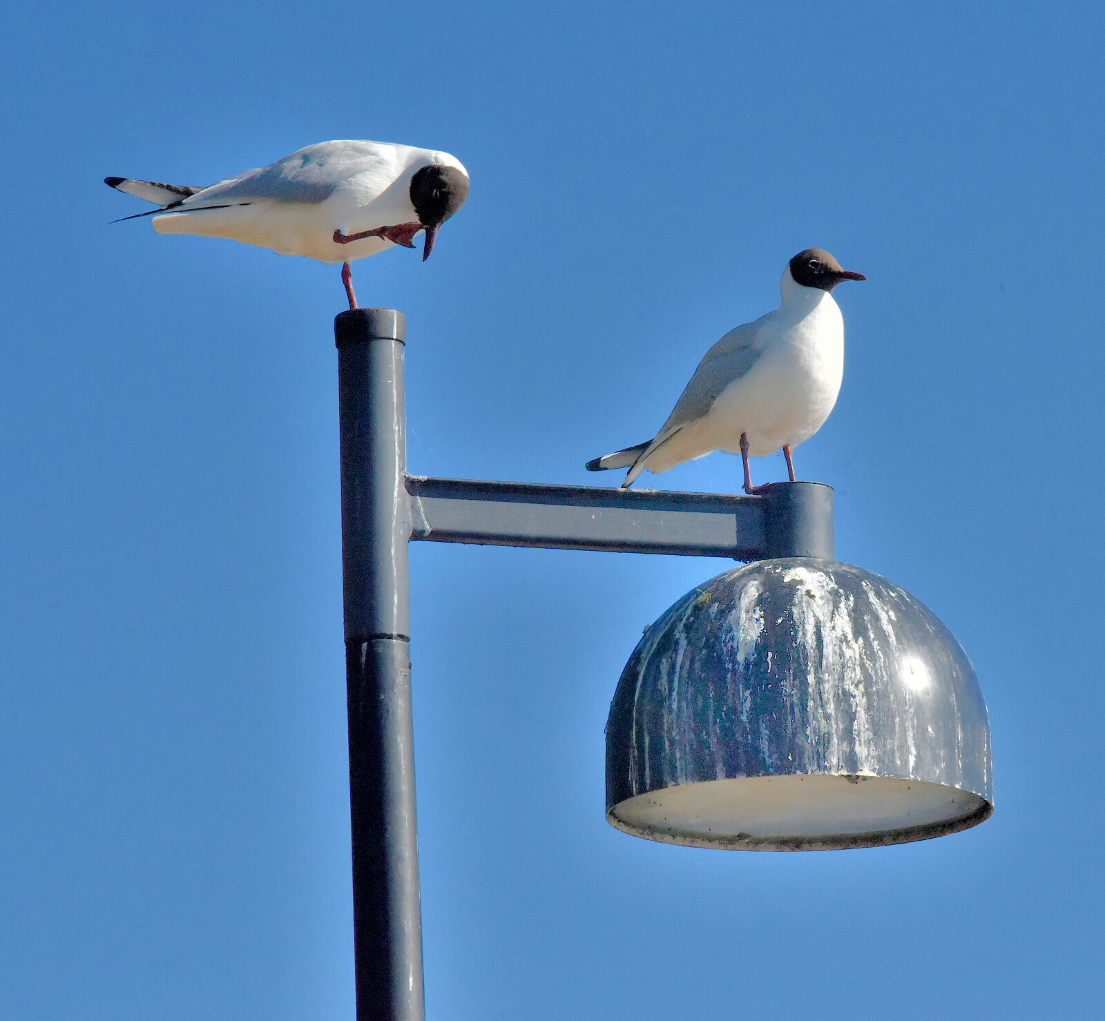 Valokuvaaja: Reijo Juurinen