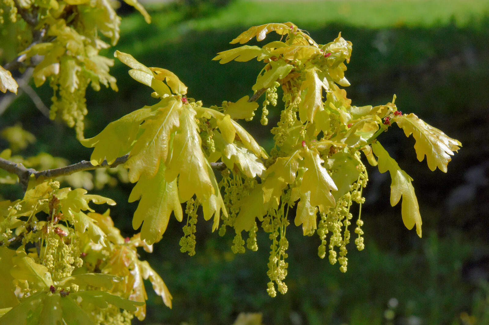 Valokuvaaja: Reijo Juurinen