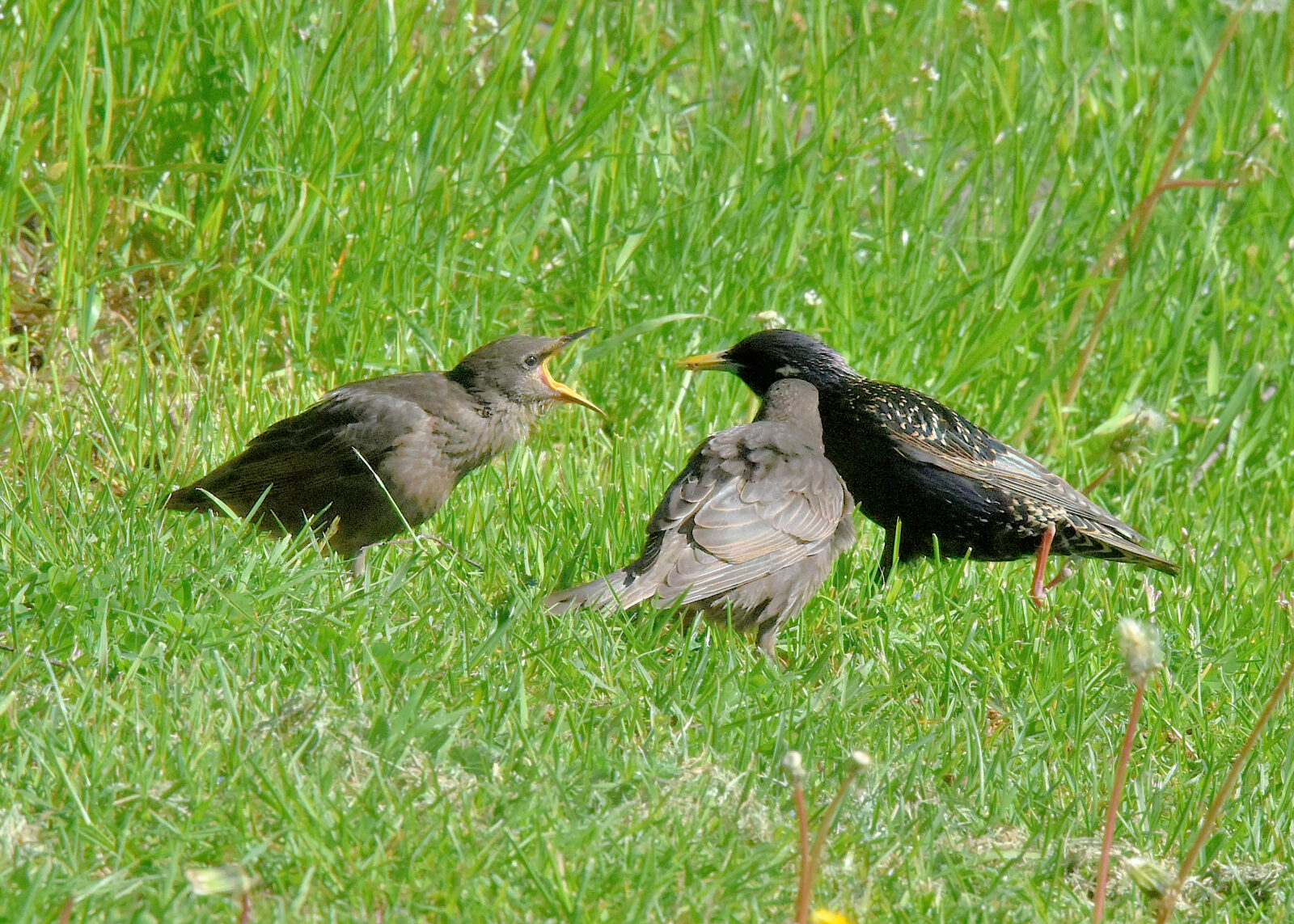 Valokuvaaja: Reijo Juurinen
