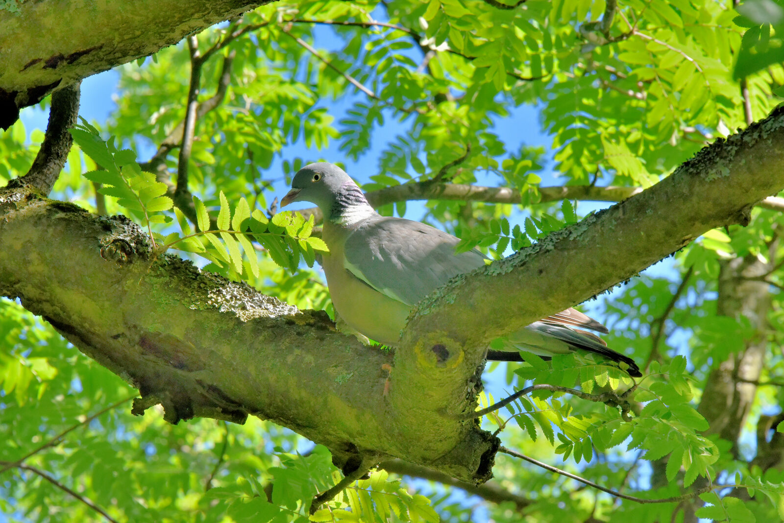 Valokuvaaja: Reijo Juurinen Valokuvaaja: Reijo Juurinen