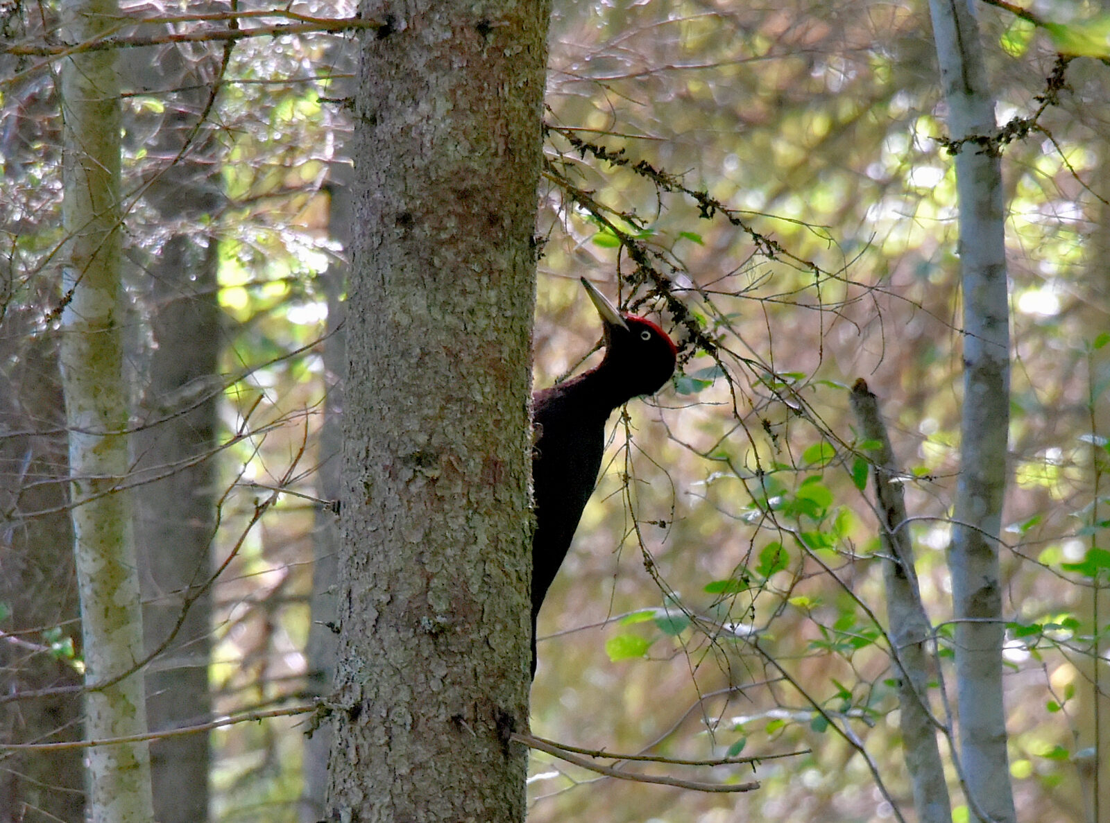 Valokuvaaja: Reijo Juurinen