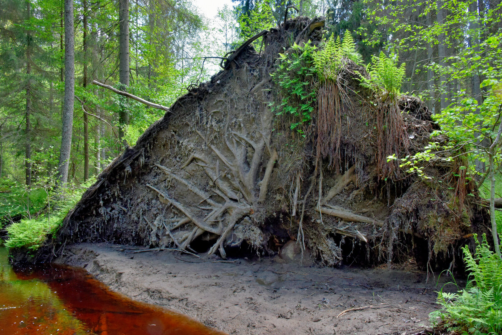 Valokuvaaja: Reijo Juurinen
