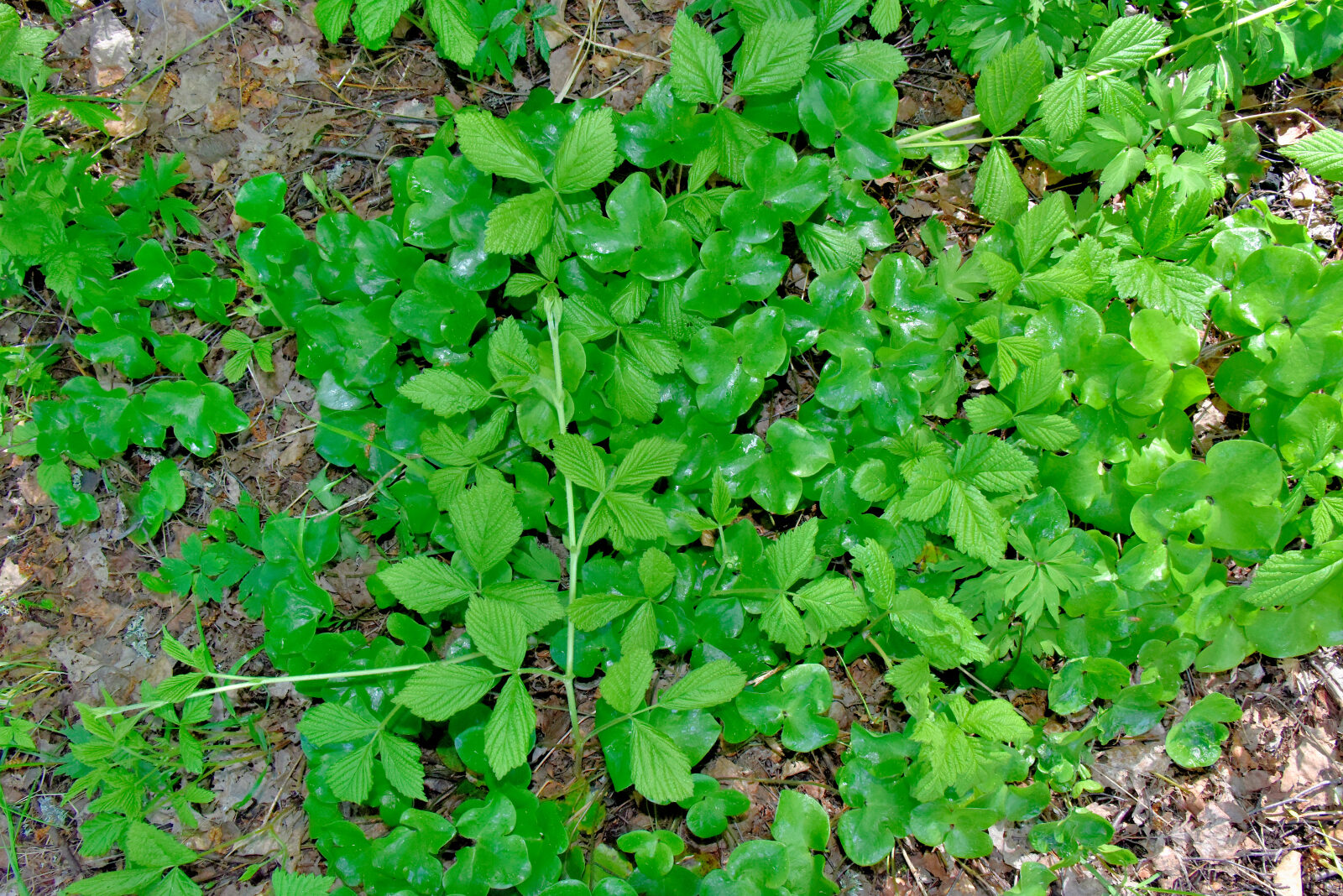 Valokuvaaja: Reijo Juurinen