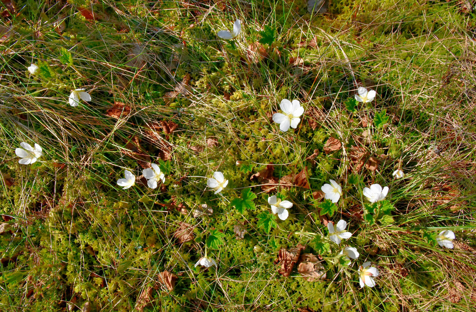 Valokuvaaja: Reijo Juurinen