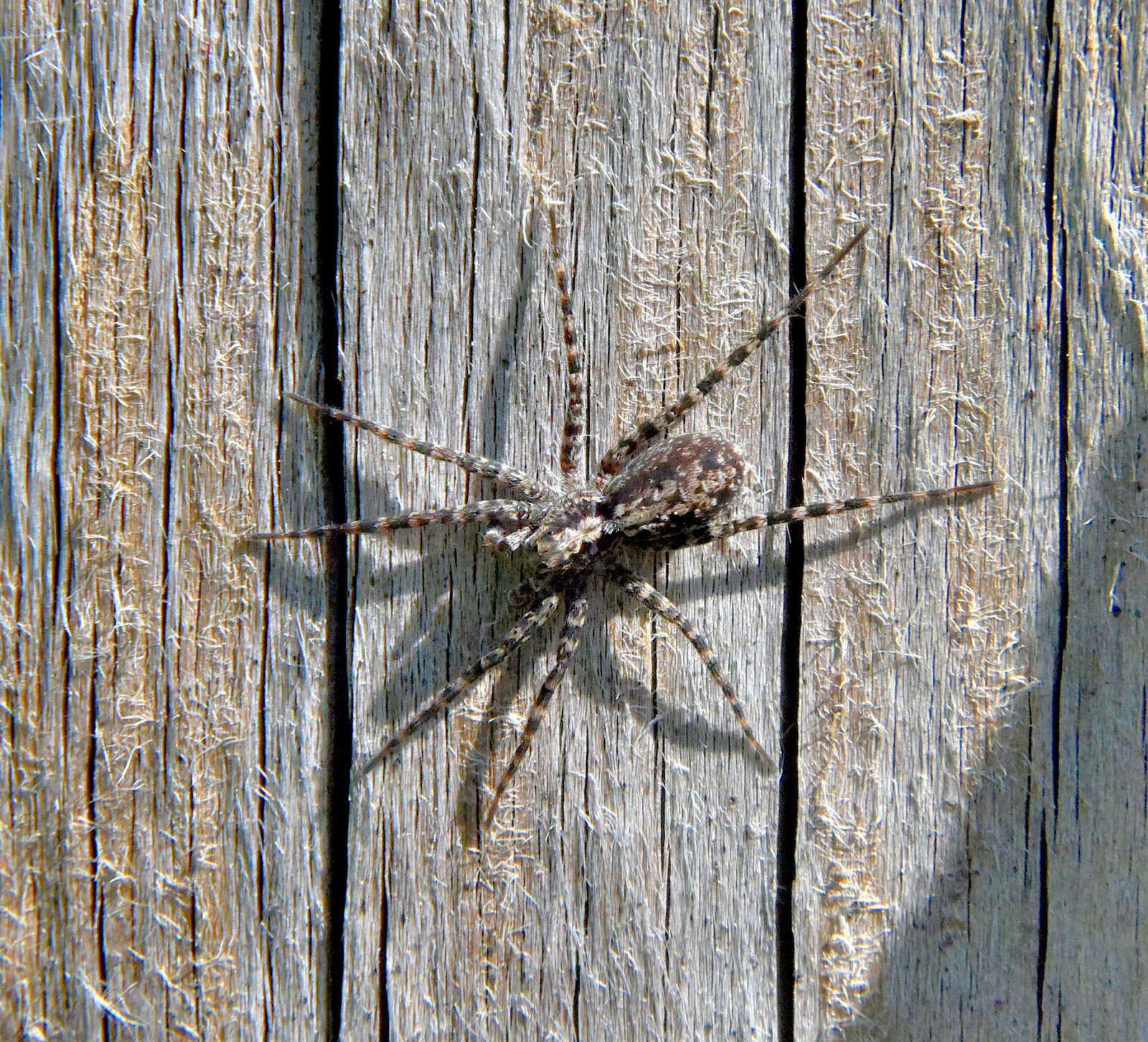 Valokuvaaja: Reijo Juurinen