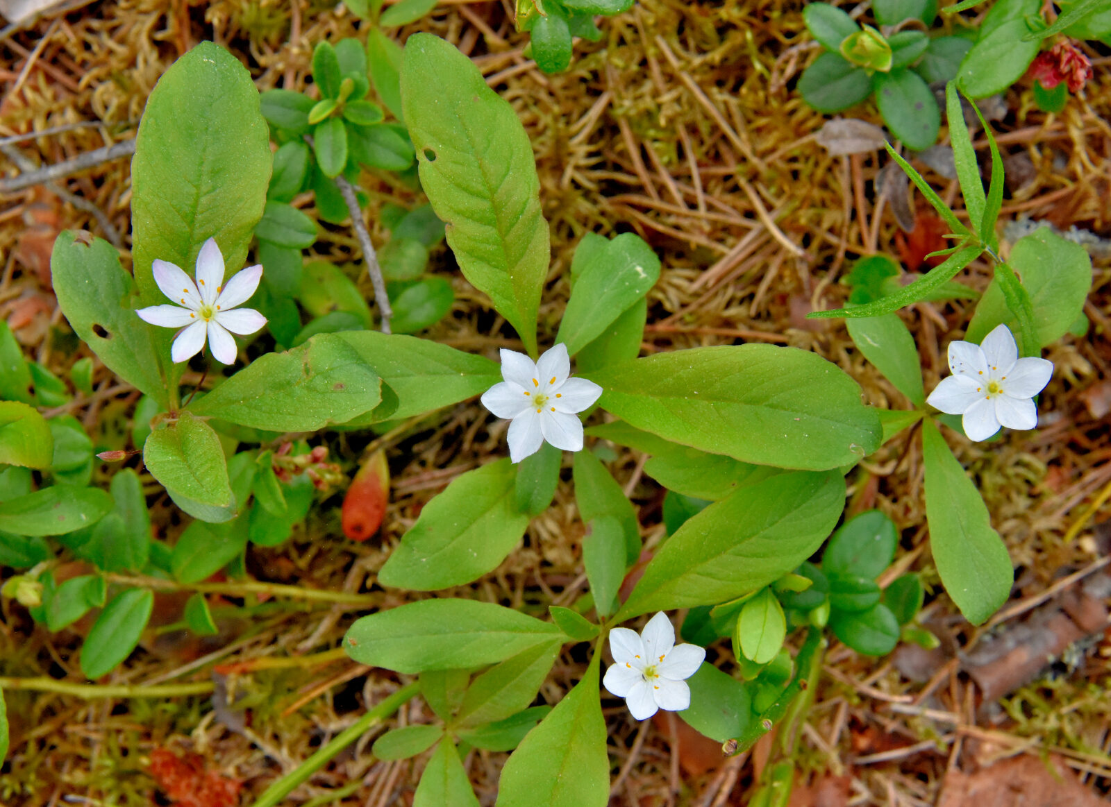 Valokuvaaja: Reijo Juurinen