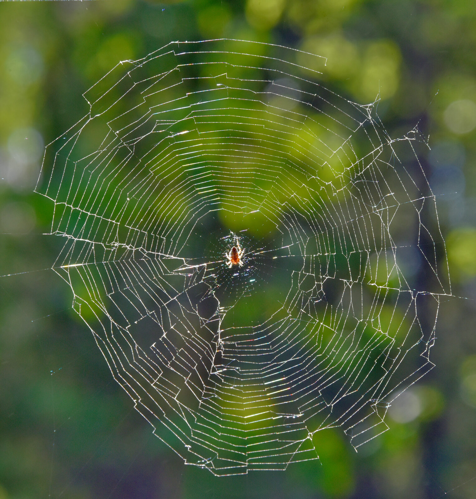 Valokuvaaja: Reijo Juurinen