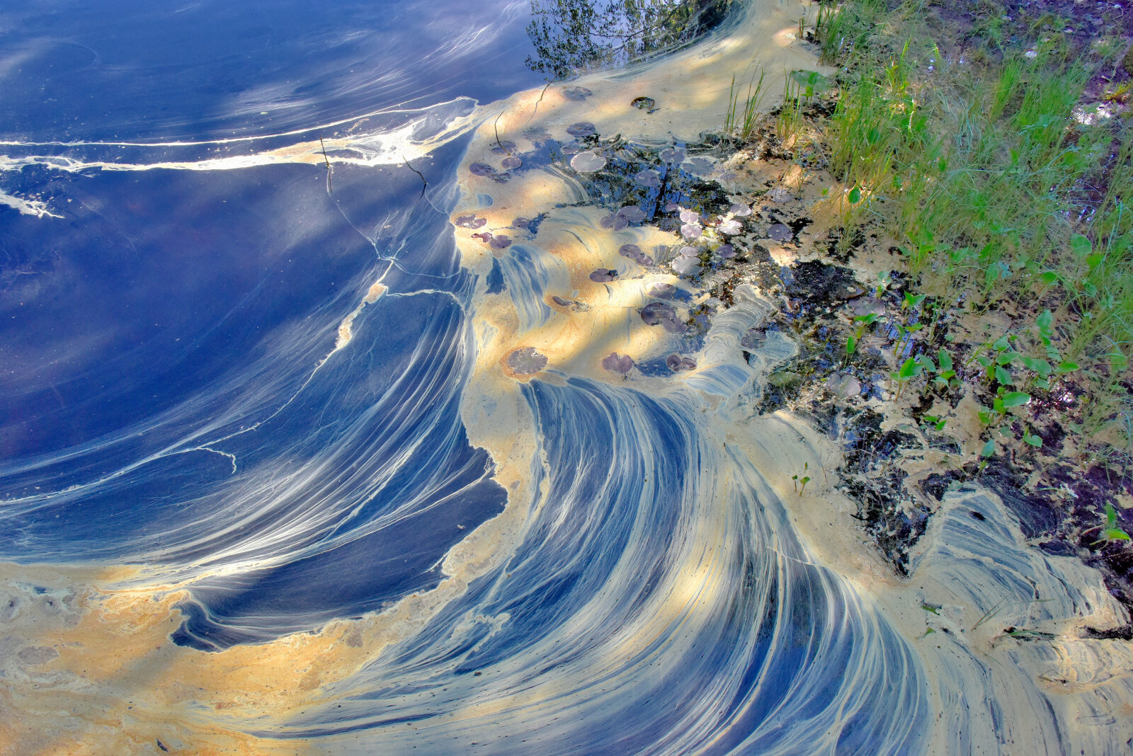 Valokuvaaja: Reijo Juurinen