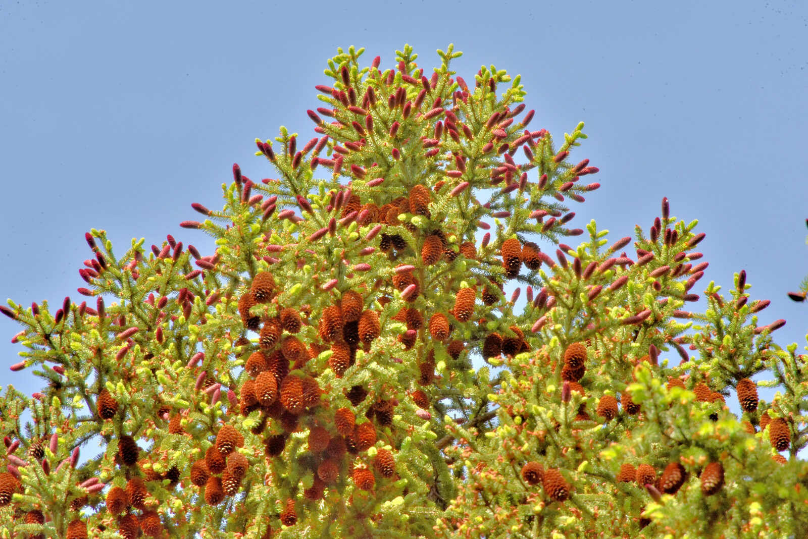 Valokuvaaja: Reijo Juurinen Valokuvaaja: Reijo Juurinen