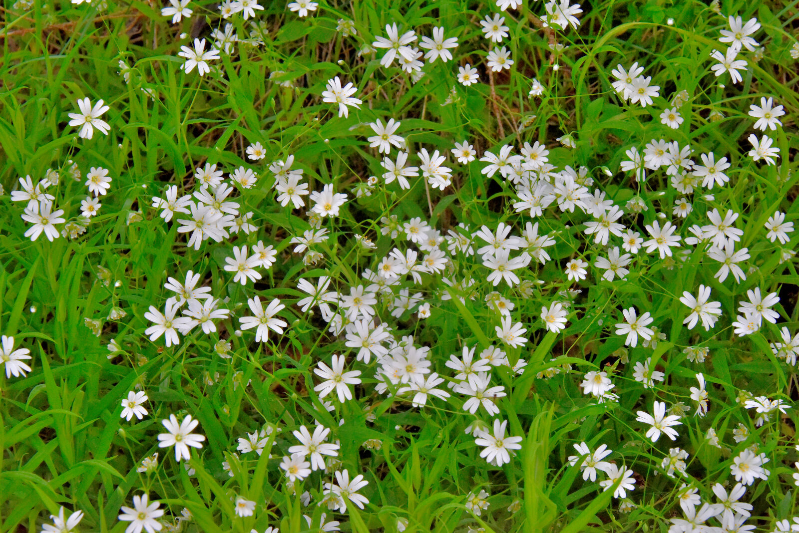 Valokuvaaja: Reijo Juurinen