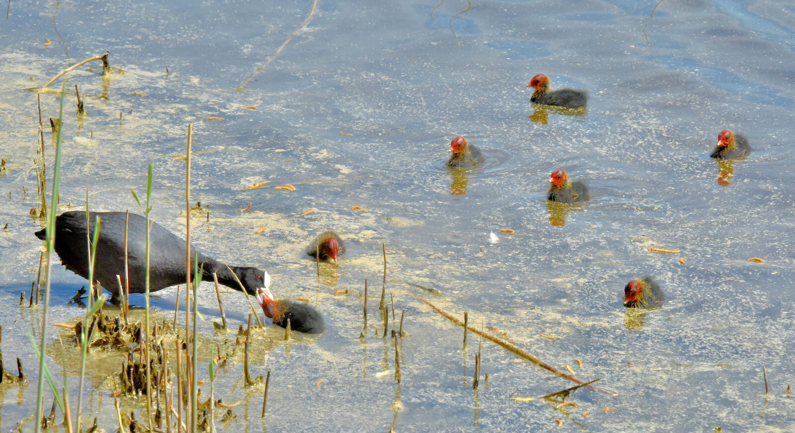 Valokuvaaja: Reijo Juurinen Valokuvaaja: Reijo Juurinen