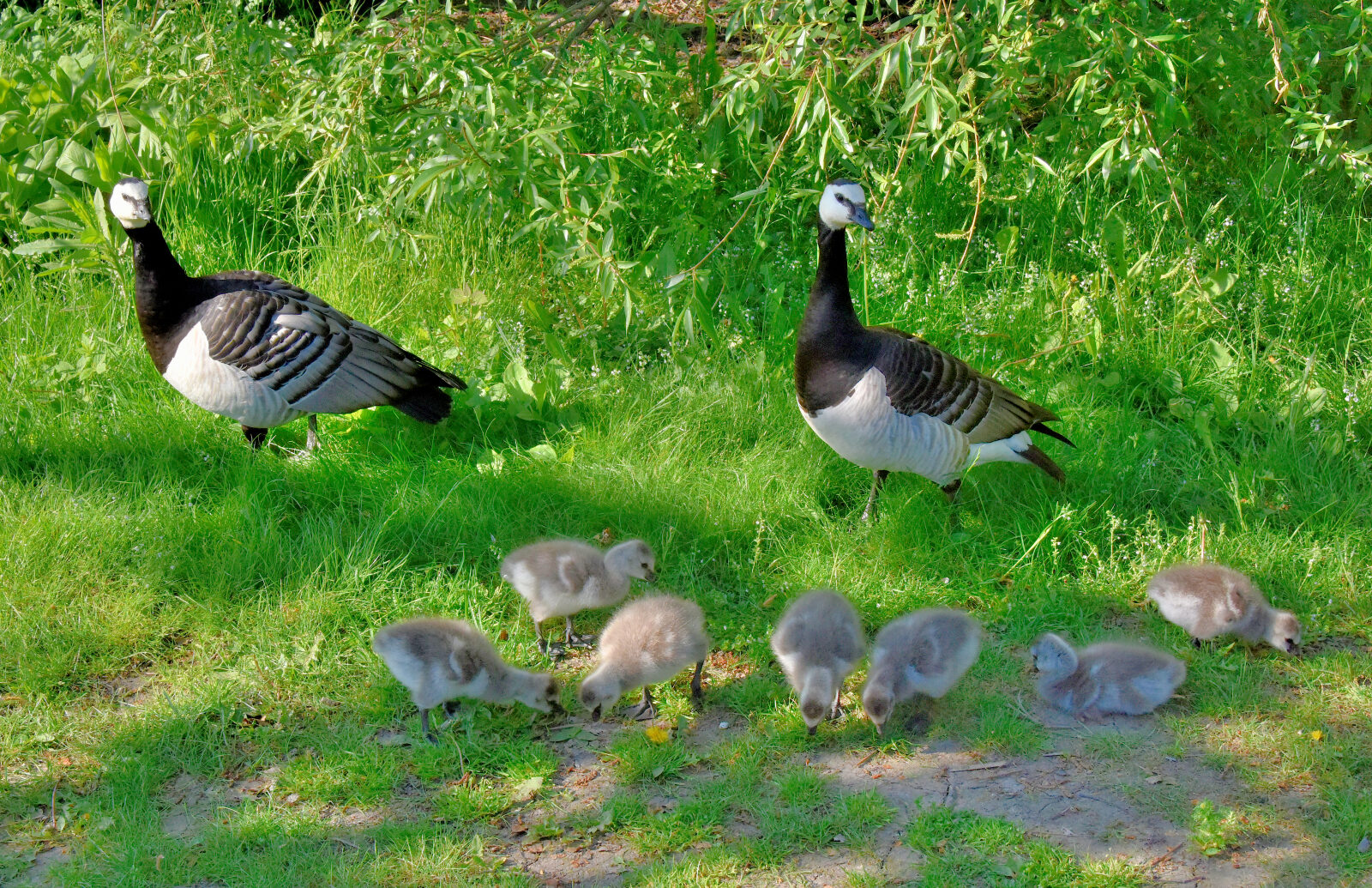 Valokuvaaja: Reijo Juurinen Valokuvaaja: Reijo Juurinen