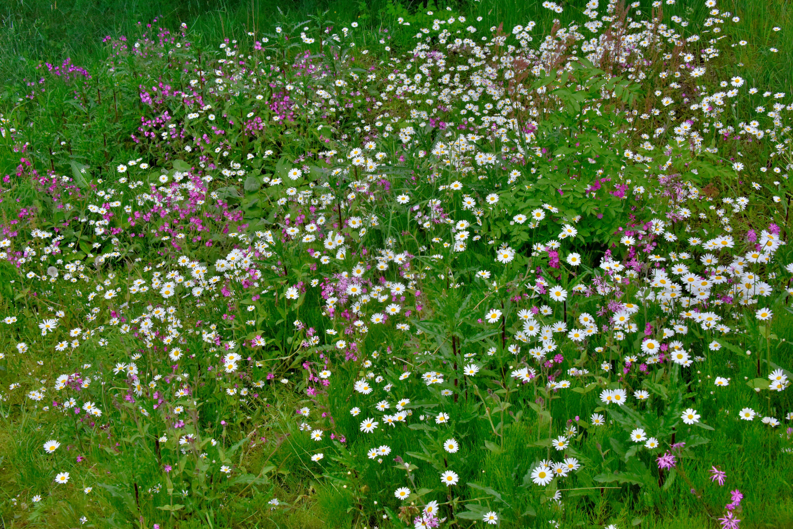 Valokuvaaja: Reijo Juurinen