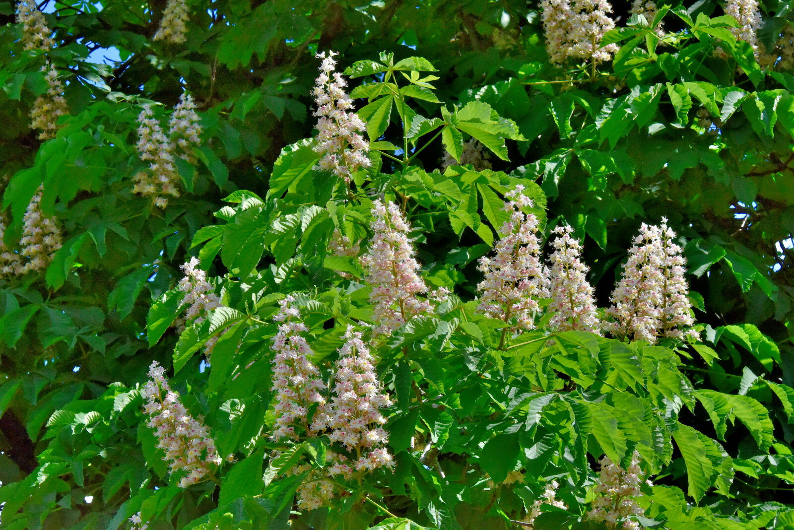 Valokuvaaja: Reijo Juurinen