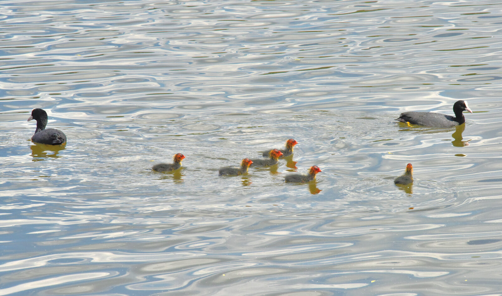 Valokuvaaja: Reijo Juurinen