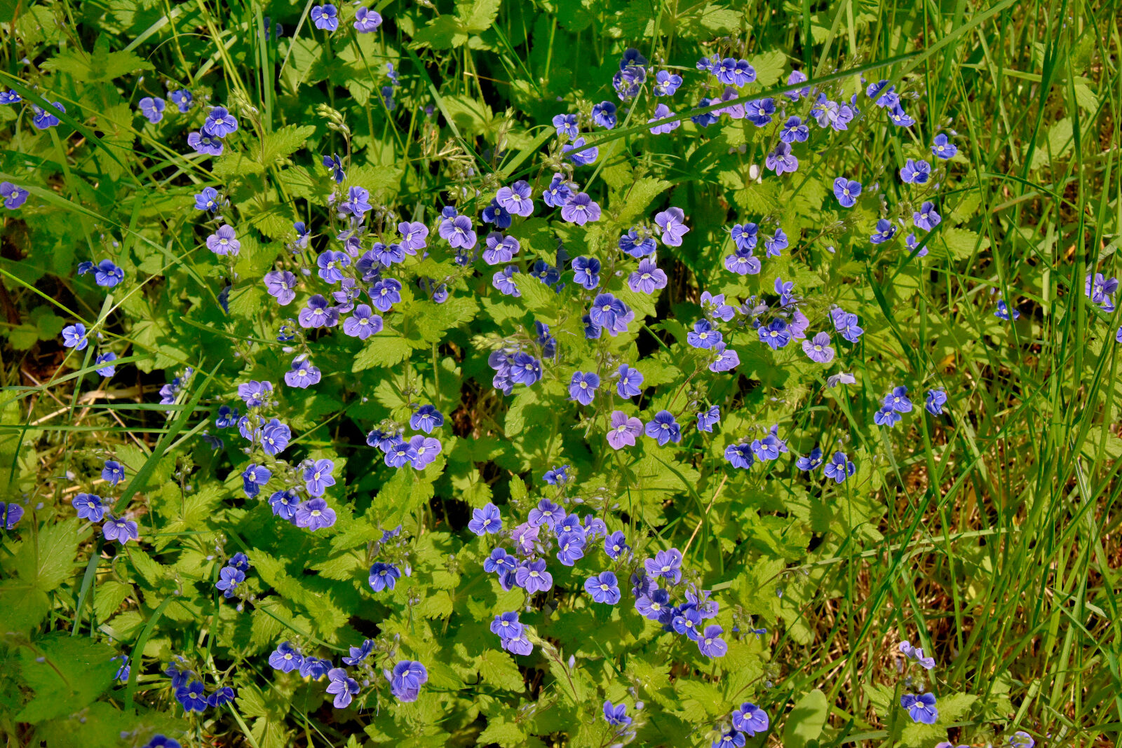 Valokuvaaja: Reijo Juurinen