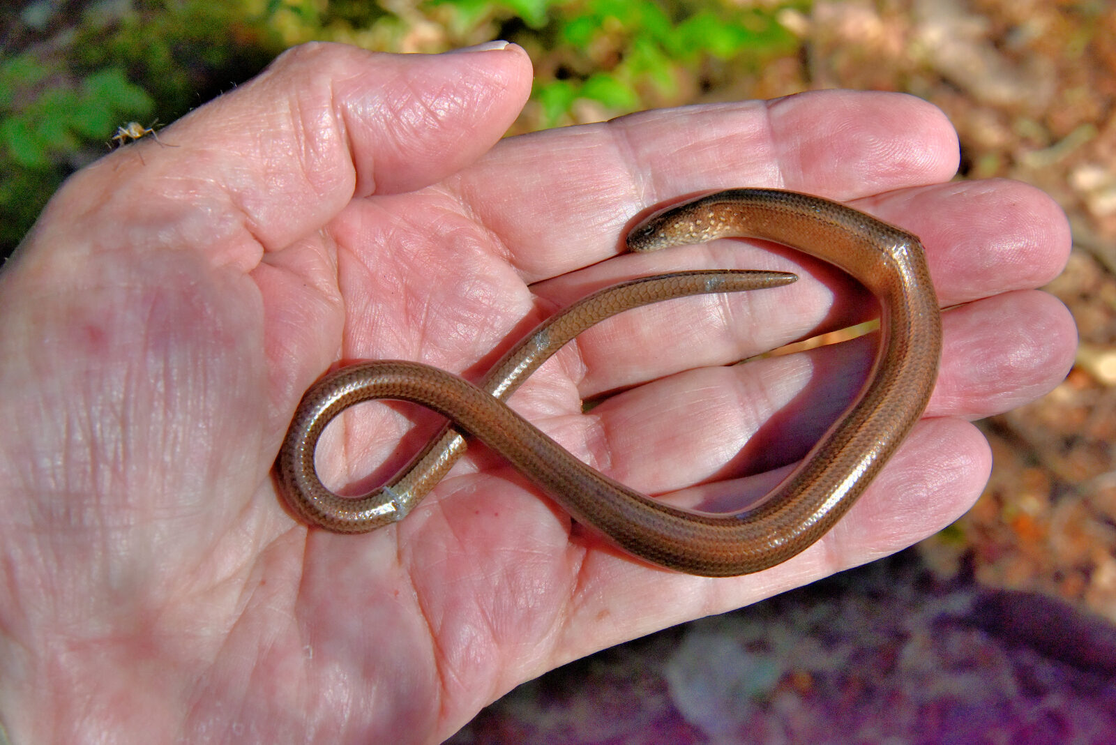 Valokuvaaja: Reijo Juurinen