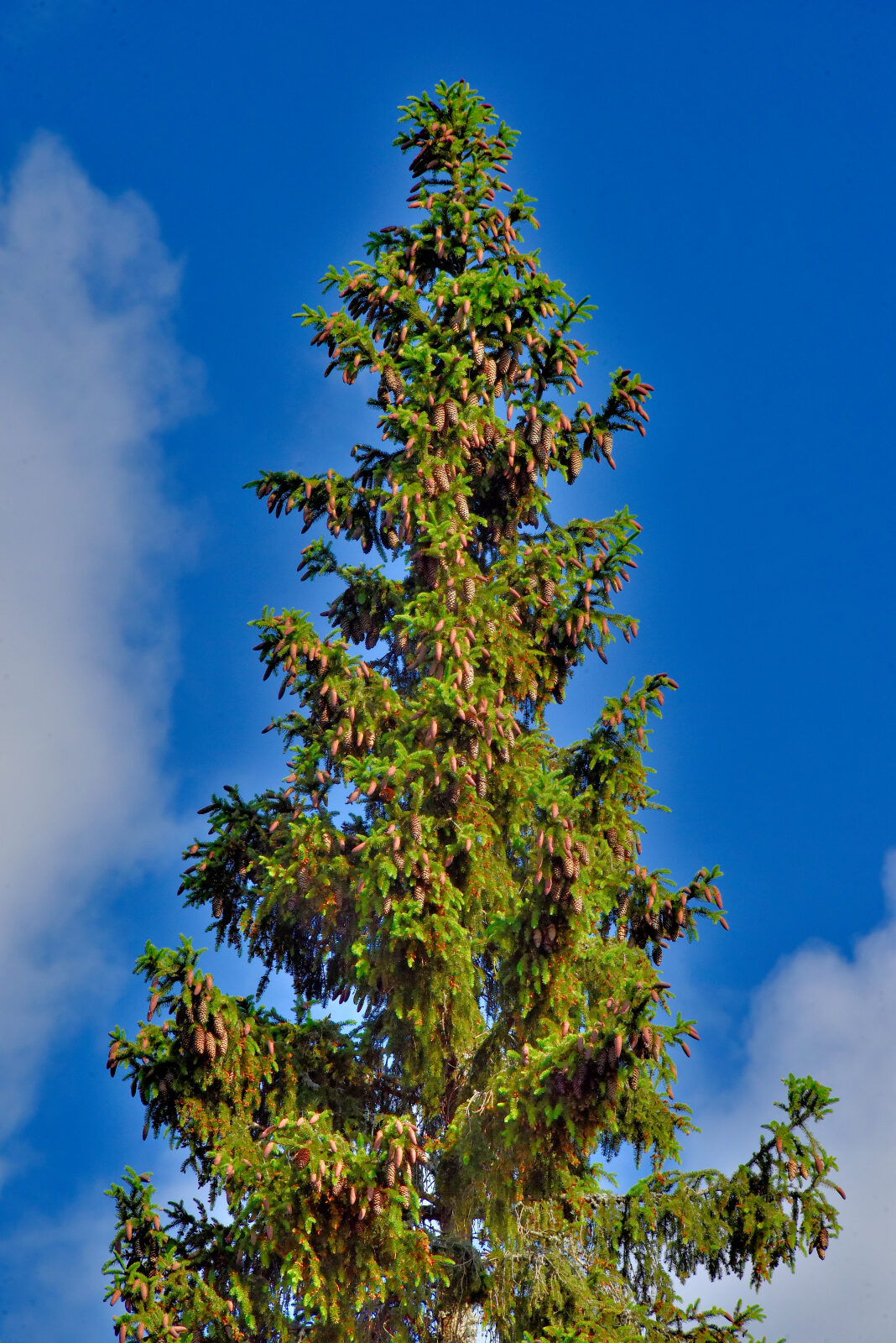 Valokuvaaja: Reijo Juurinen