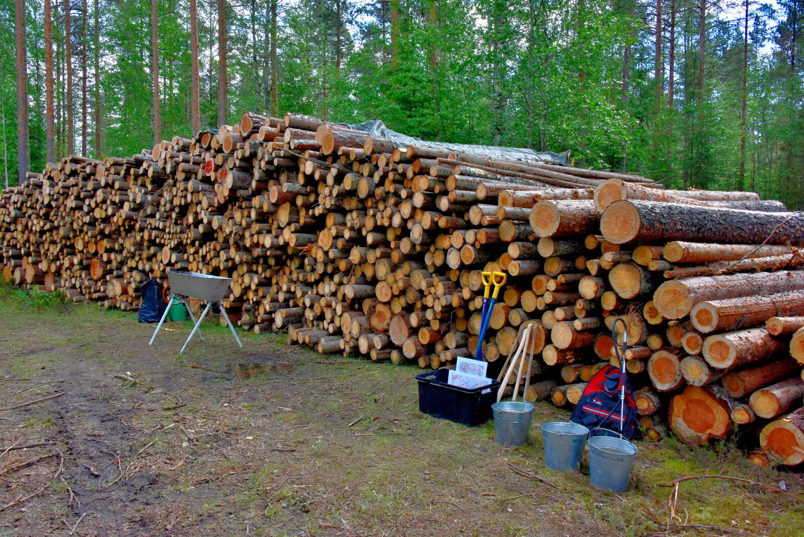 Valokuvaaja: Reijo Juurinen