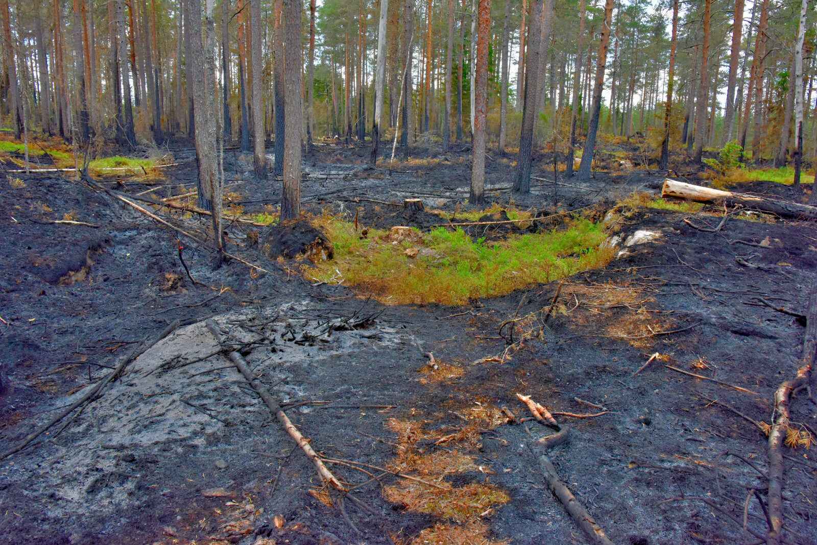 Valokuvaaja: Reijo Juurinen Valokuvaaja: Reijo Juurinen