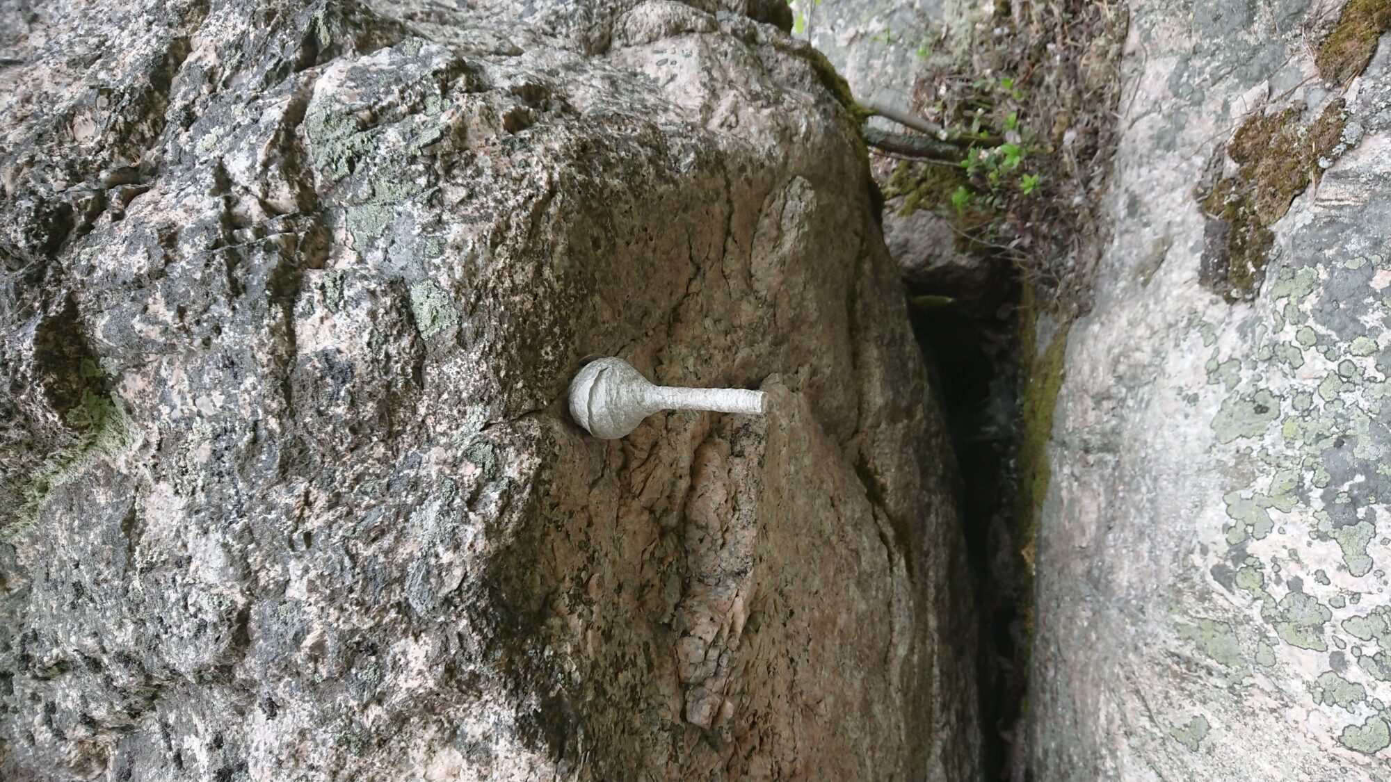 Valokuvaaja: Olli Ikävalko